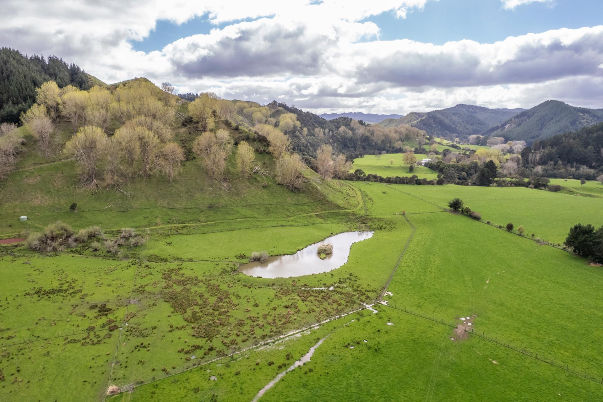 1471 Mangamahu Road, Mangamahu