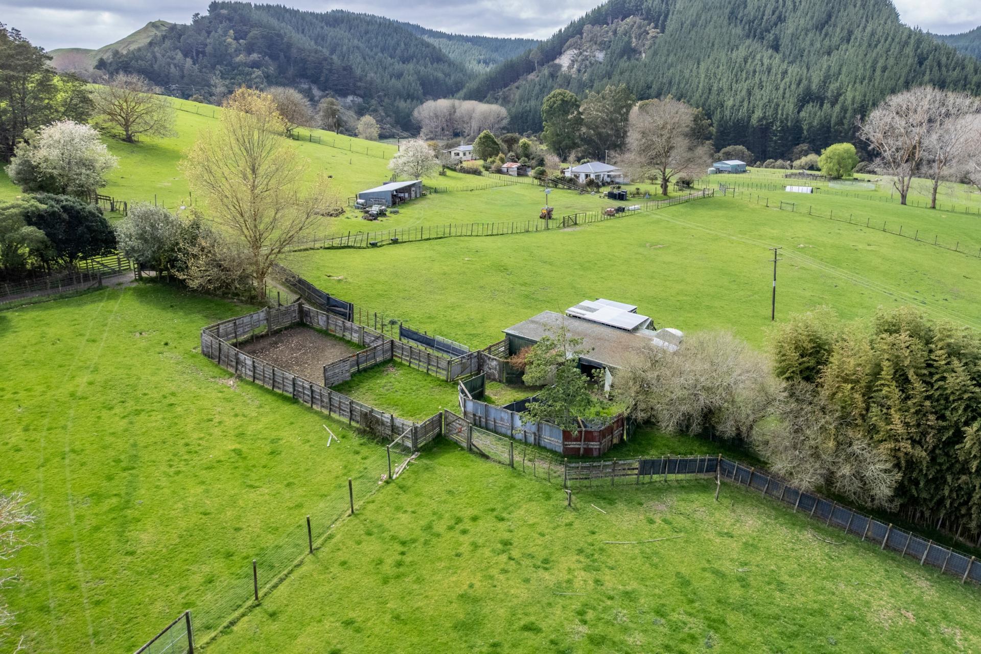 1471 Mangamahu Road, Mangamahu