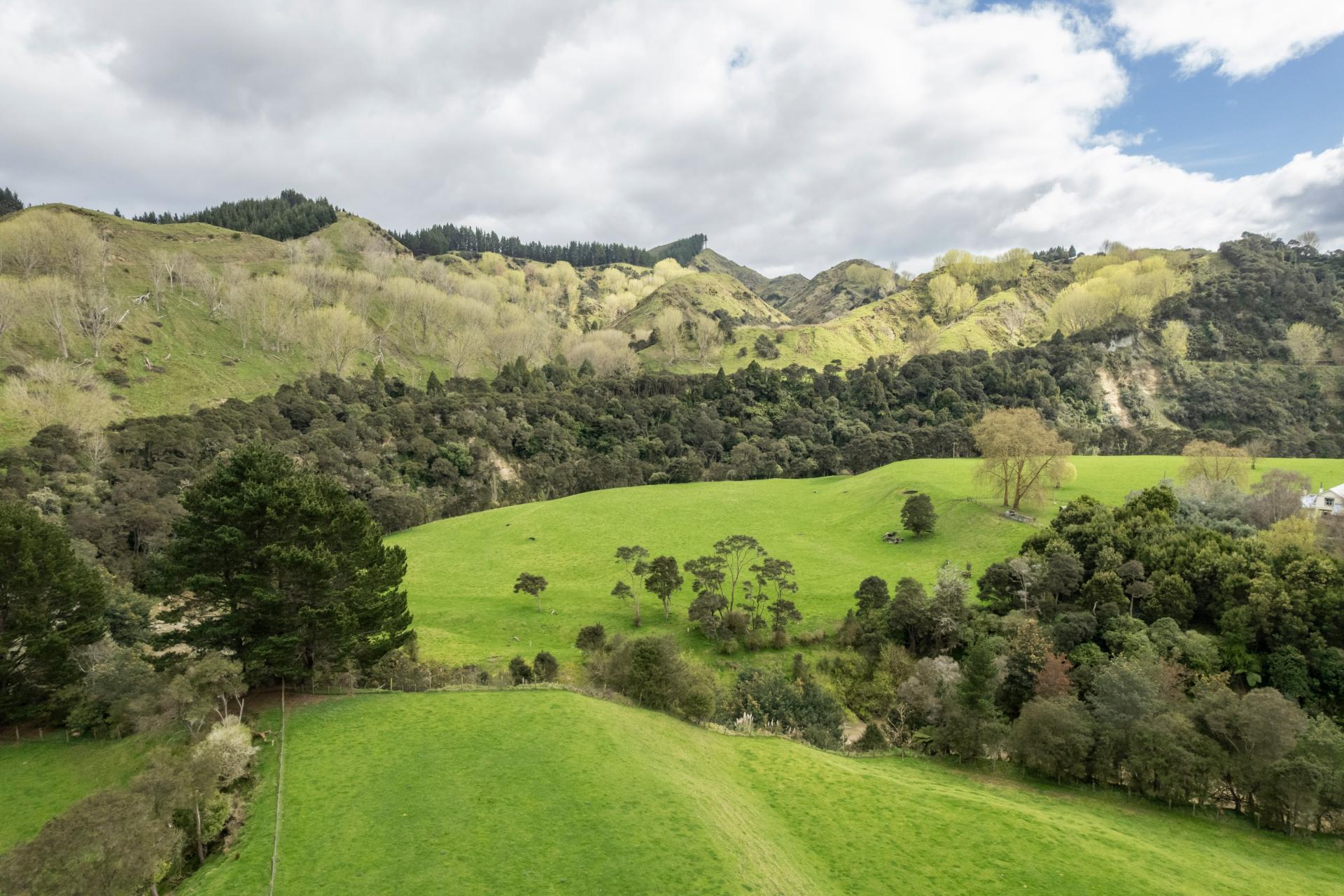 1471 Mangamahu Road, Mangamahu