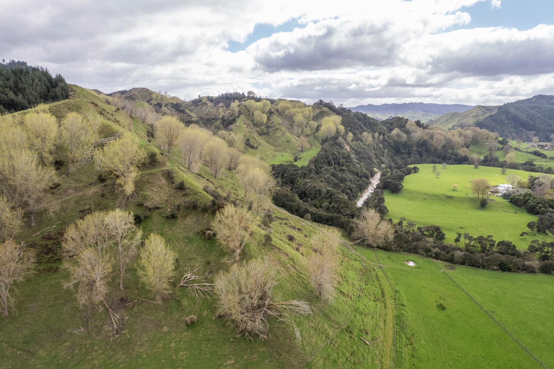 1471 Mangamahu Road, Mangamahu