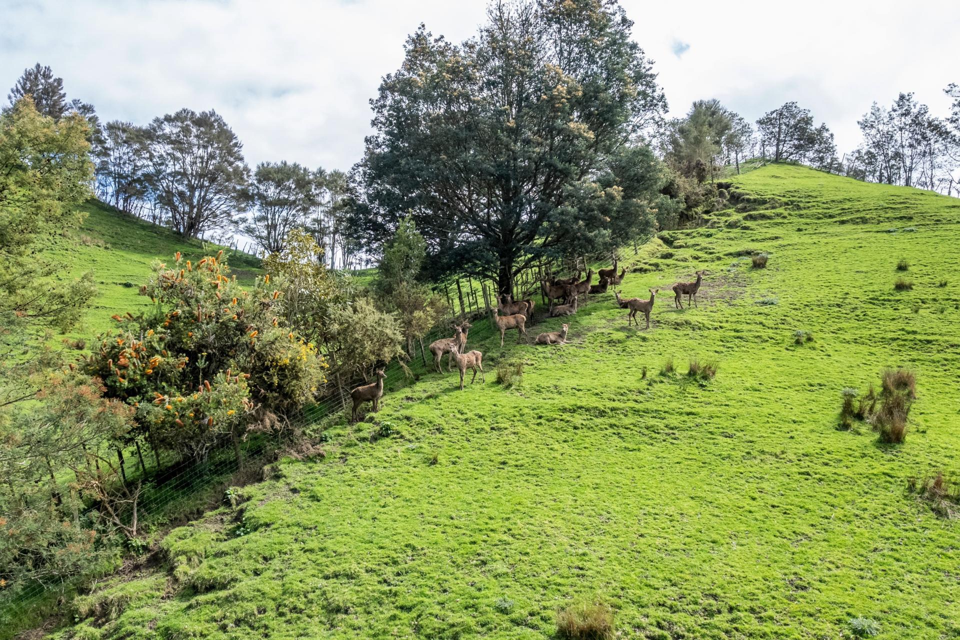 1471 Mangamahu Road, Mangamahu