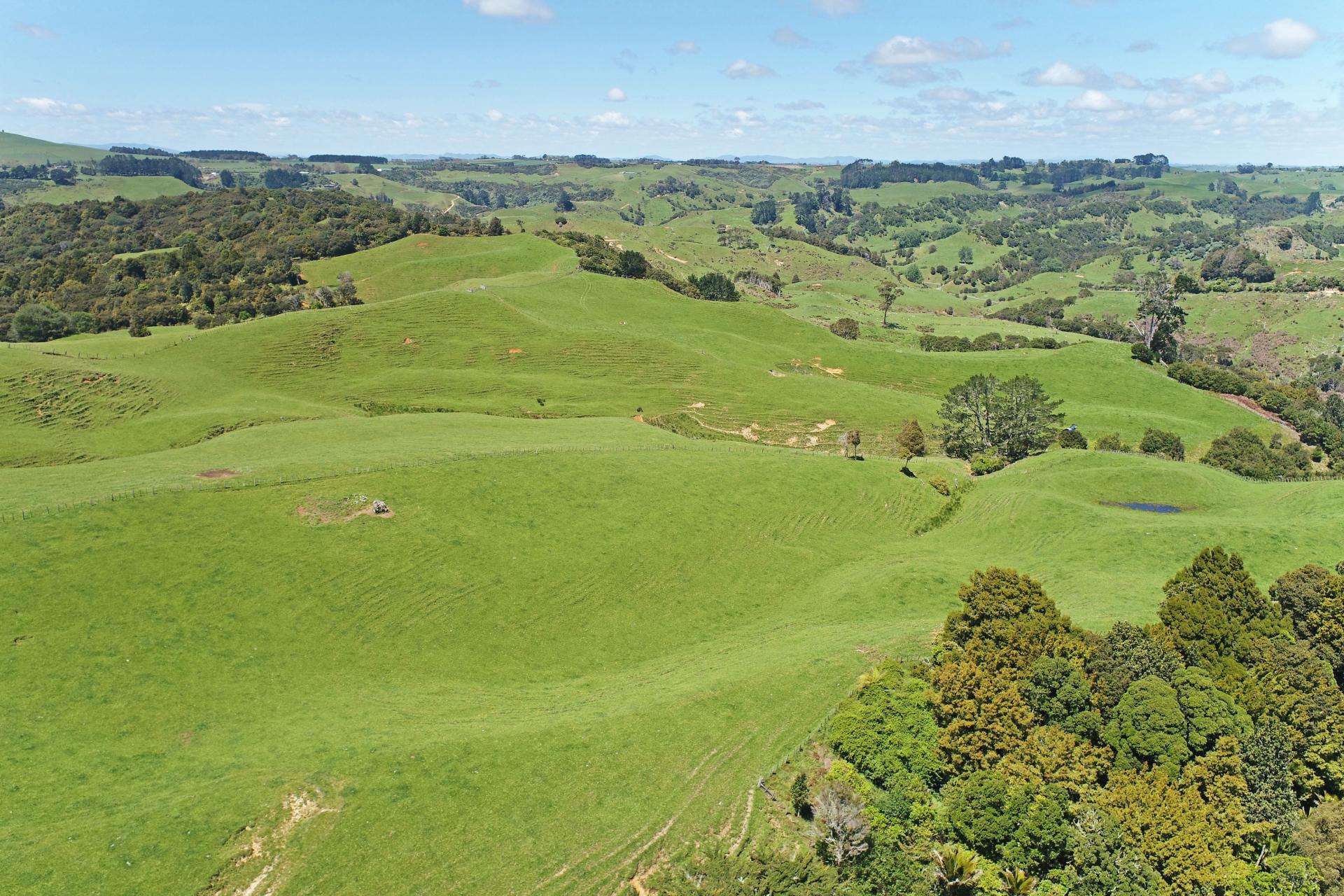 357 Onewhero-Tuakau Bridge Road, Onewhero