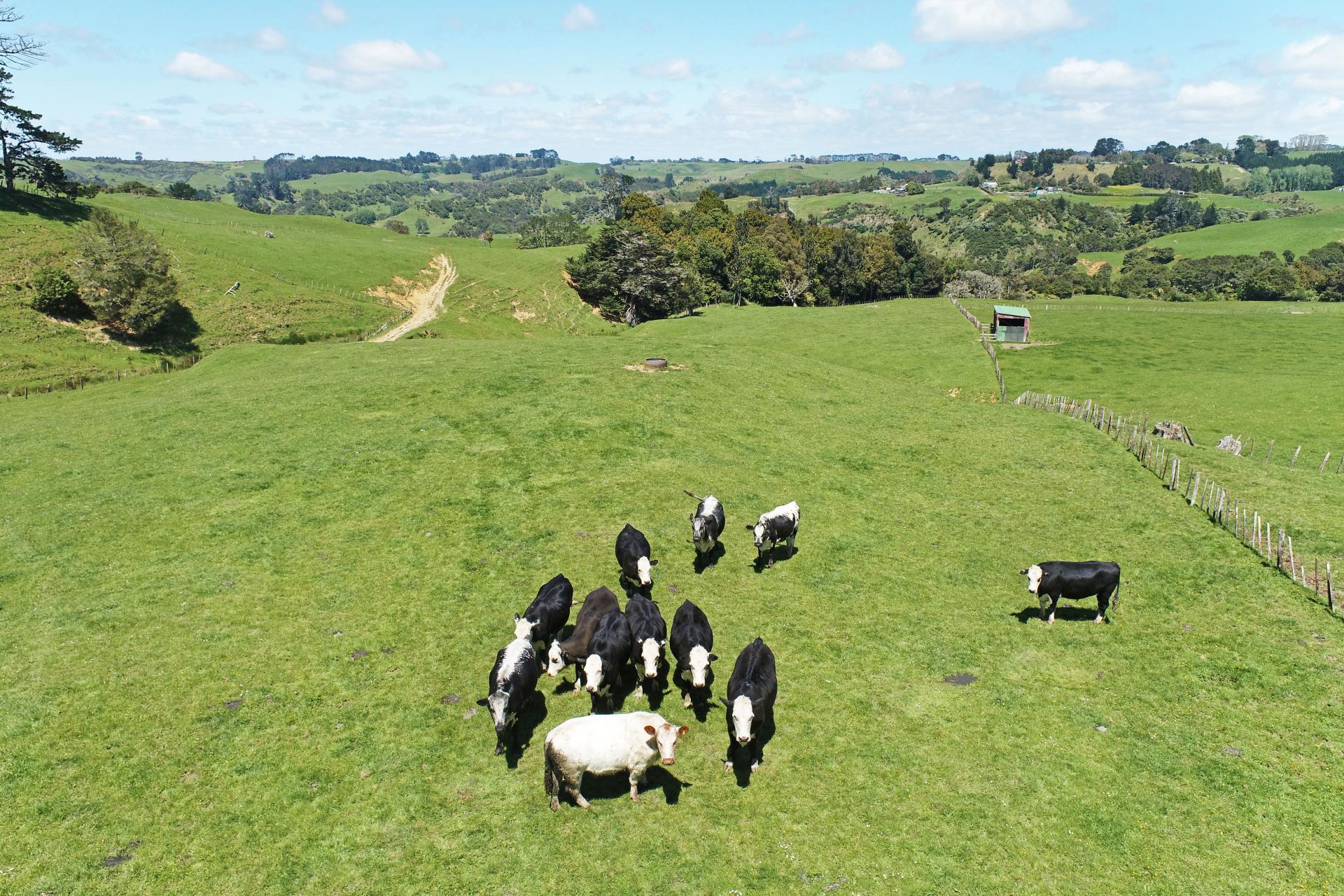 357 Onewhero-Tuakau Bridge Road, Onewhero