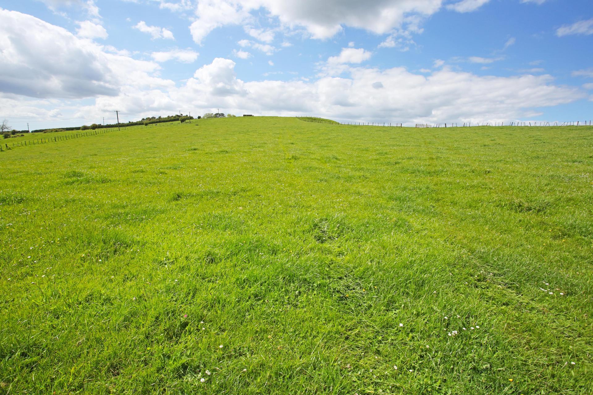 357 Onewhero-Tuakau Bridge Road, Onewhero