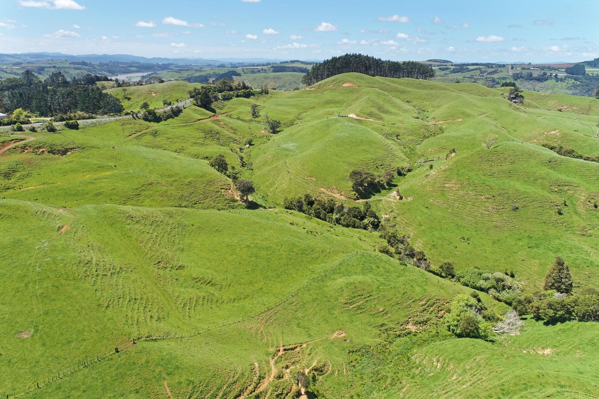 357 Onewhero-Tuakau Bridge Road, Onewhero