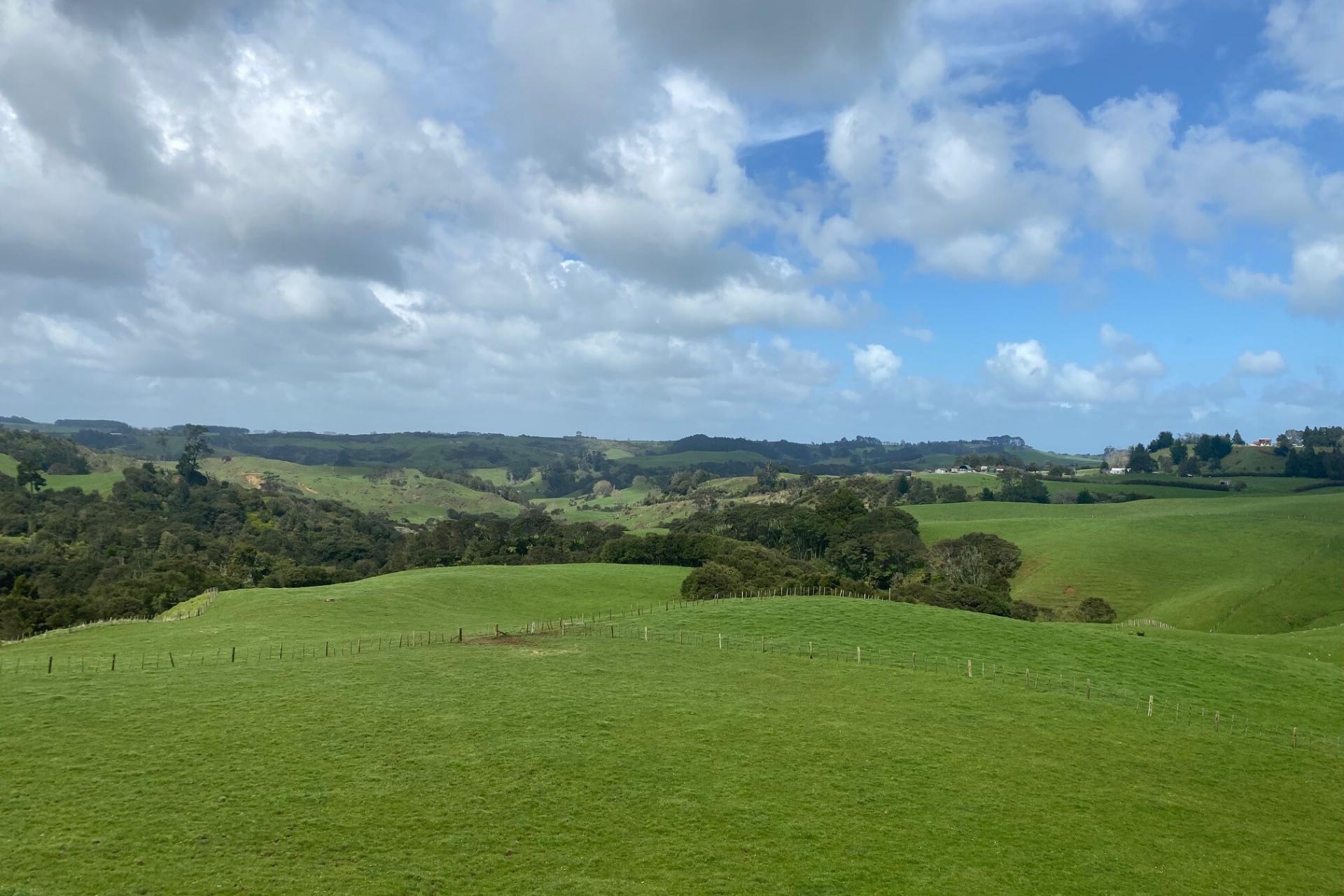 357 Onewhero-Tuakau Bridge Road, Onewhero