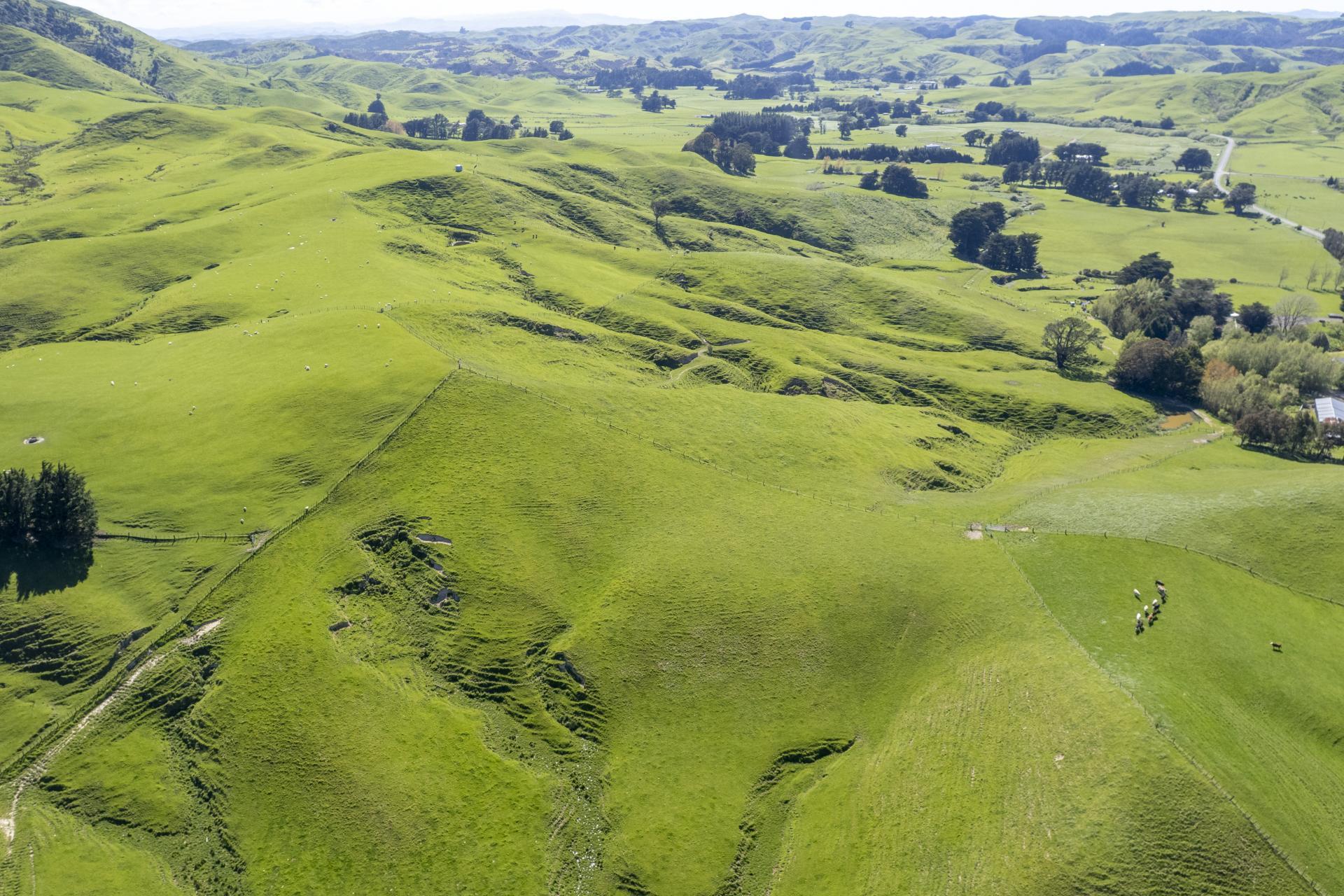 73 Hall Road, Eketahuna