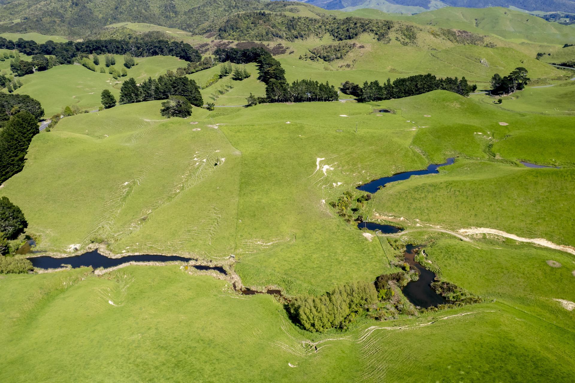 73 Hall Road, Eketahuna