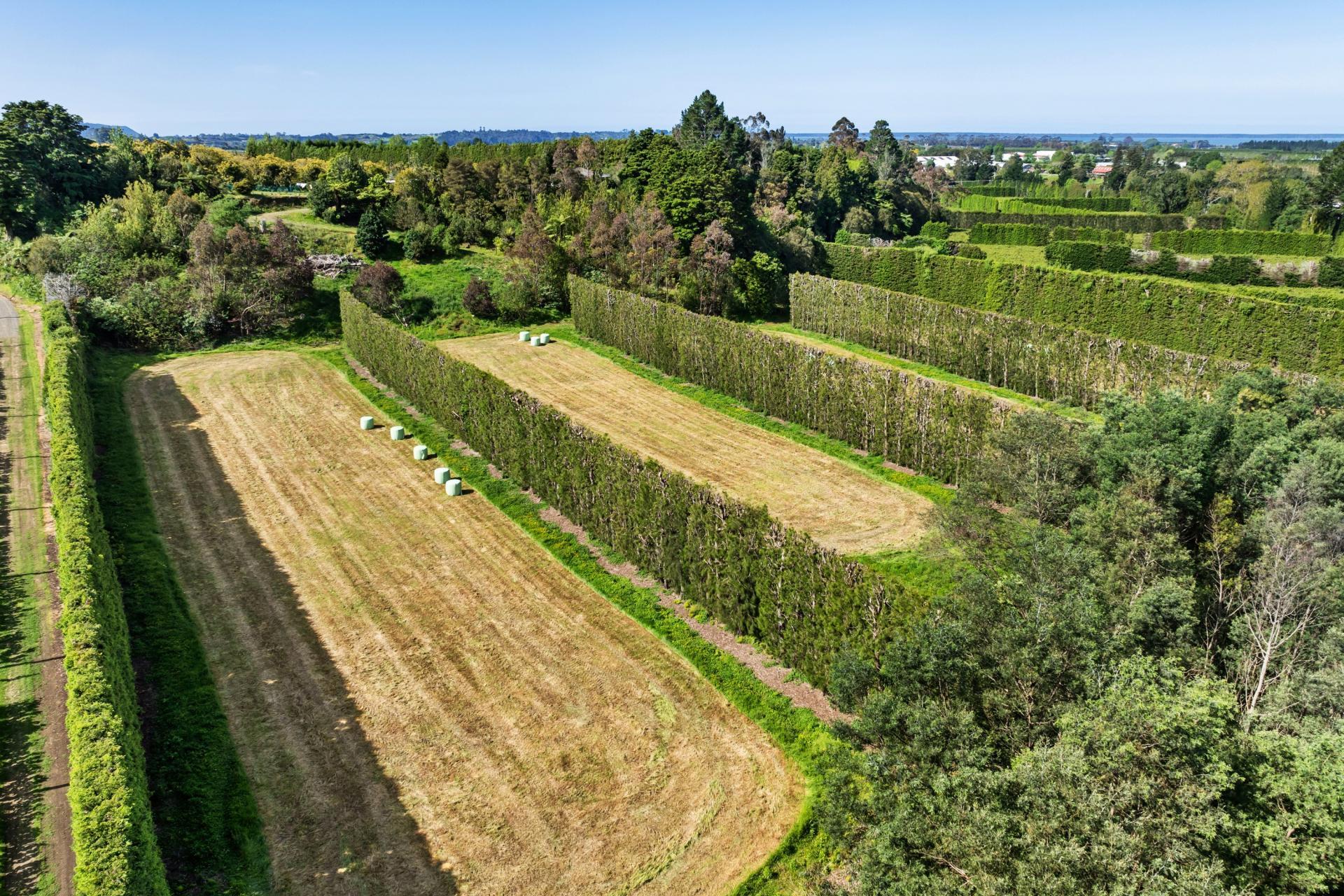 85 Wharawhara Road, Katikati