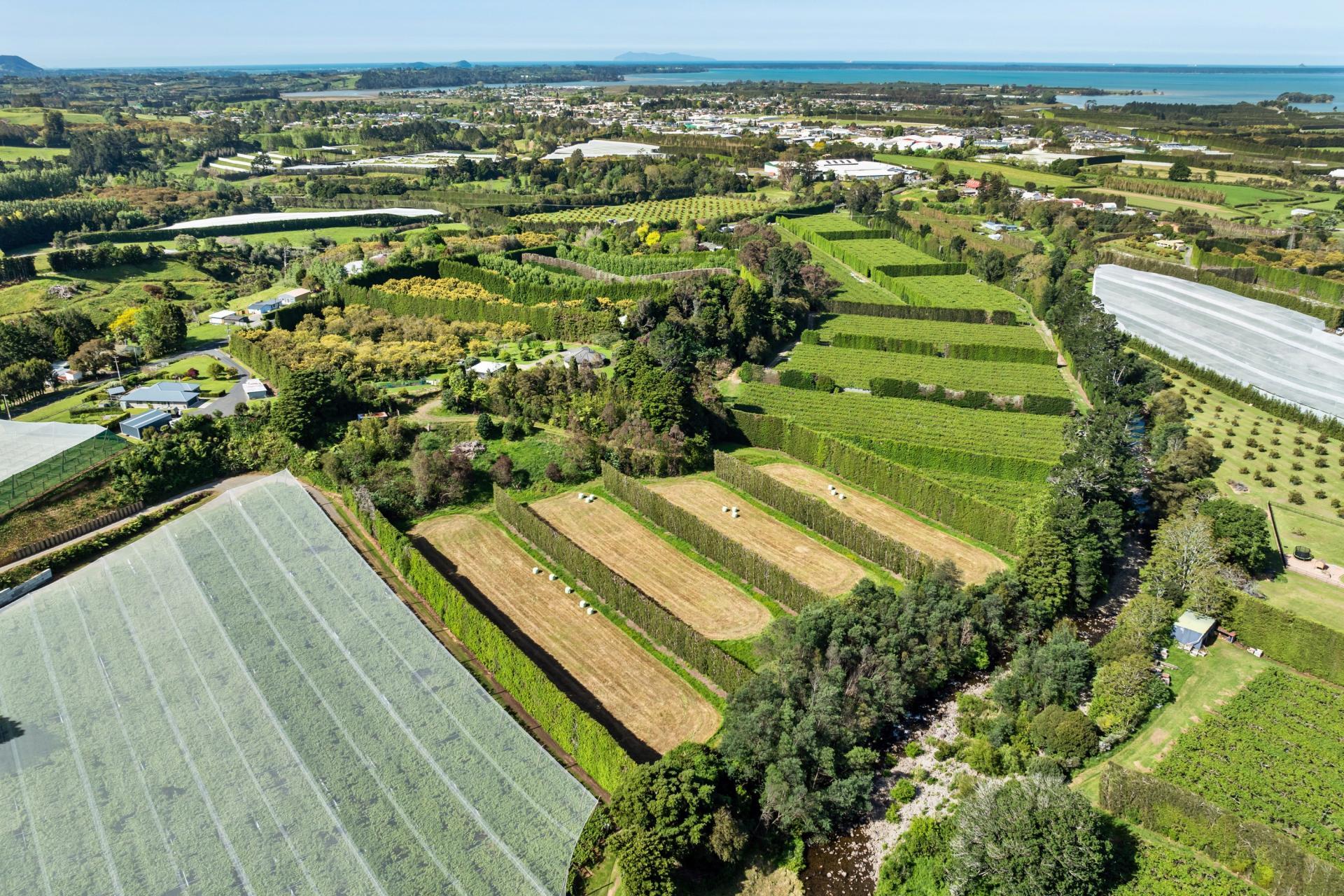 85 Wharawhara Road, Katikati