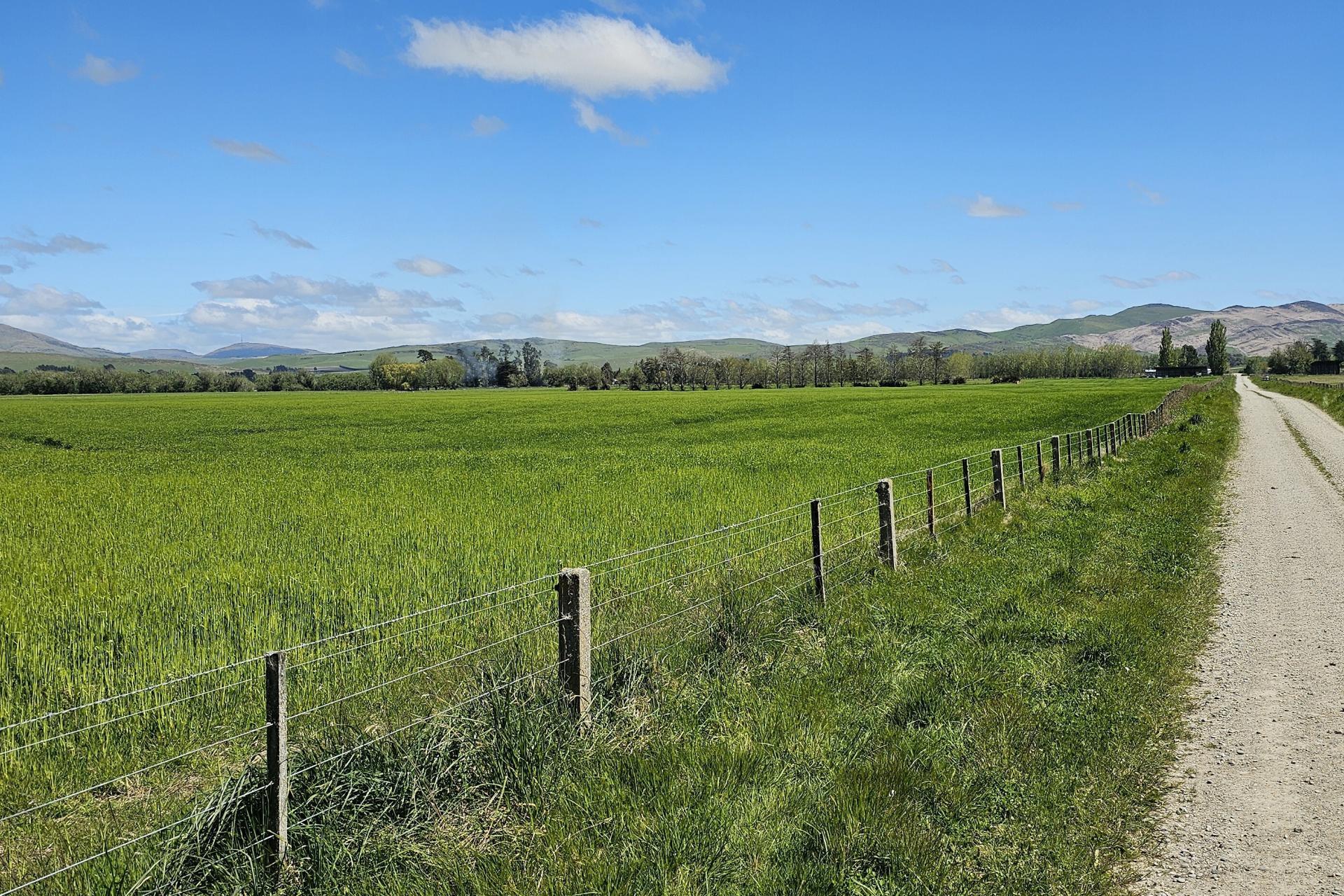 69 Roche Road, Mandeville