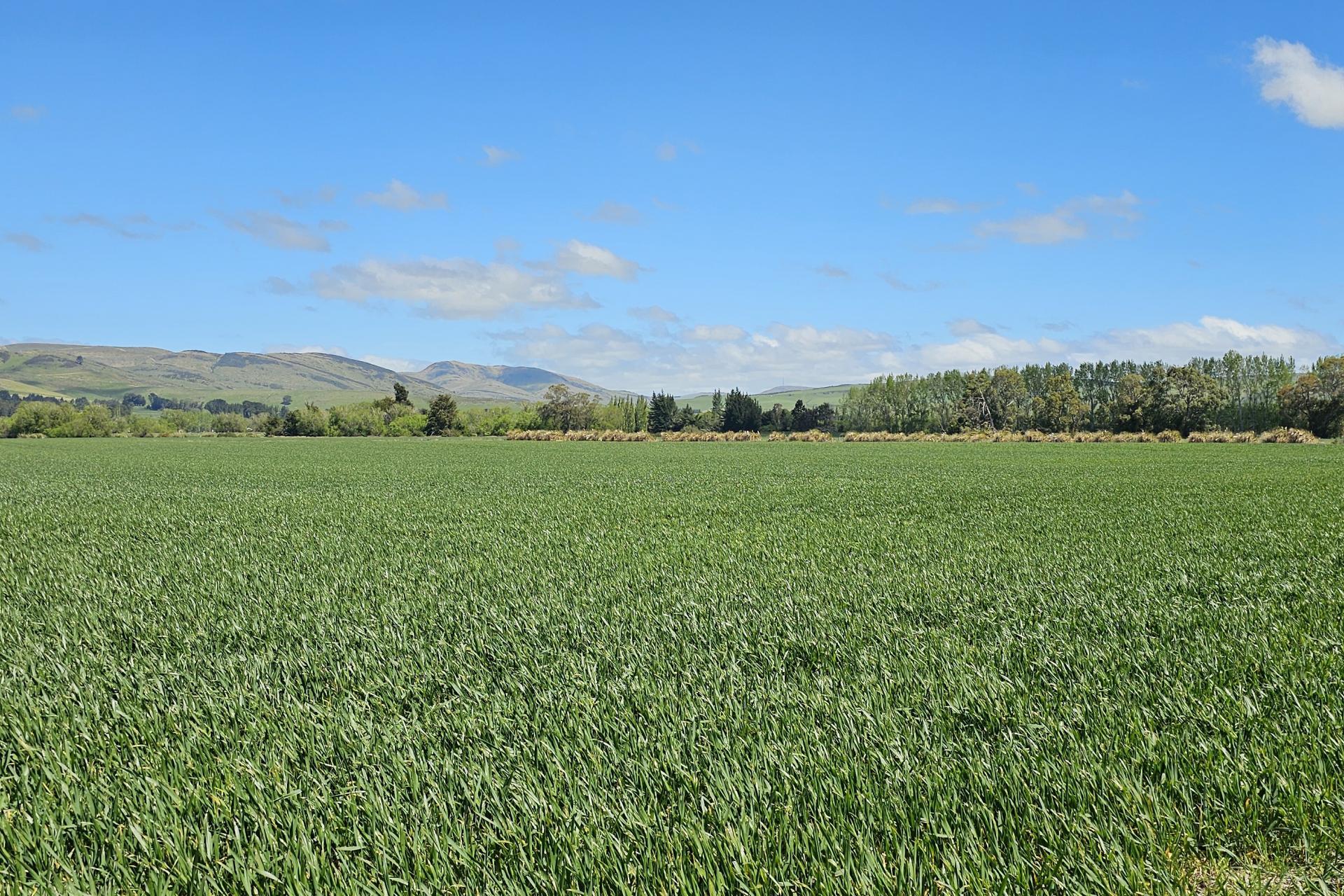 69 Roche Road, Mandeville