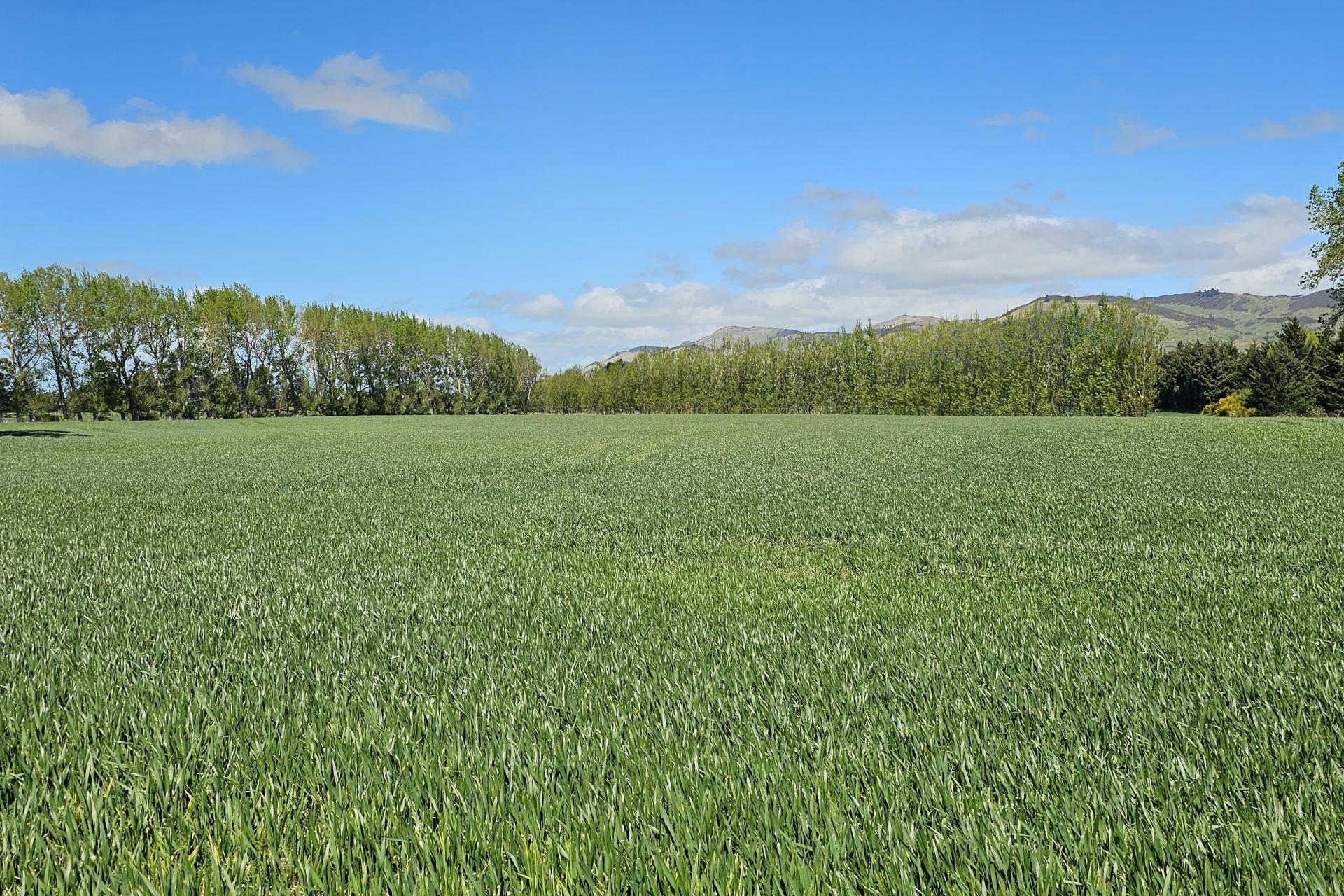 69 Roche Road, Mandeville