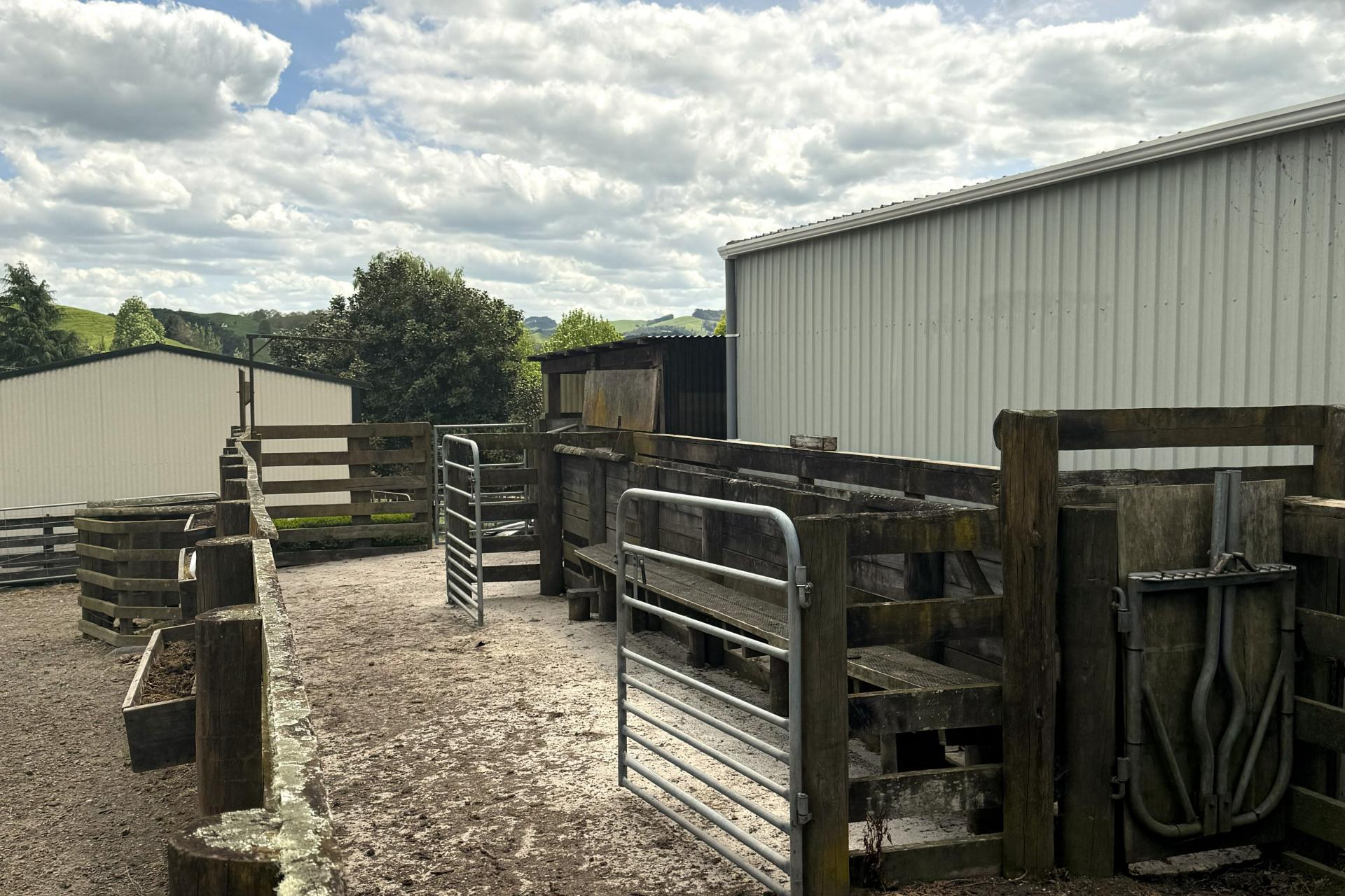 128 Taotaoroa Road, Matamata