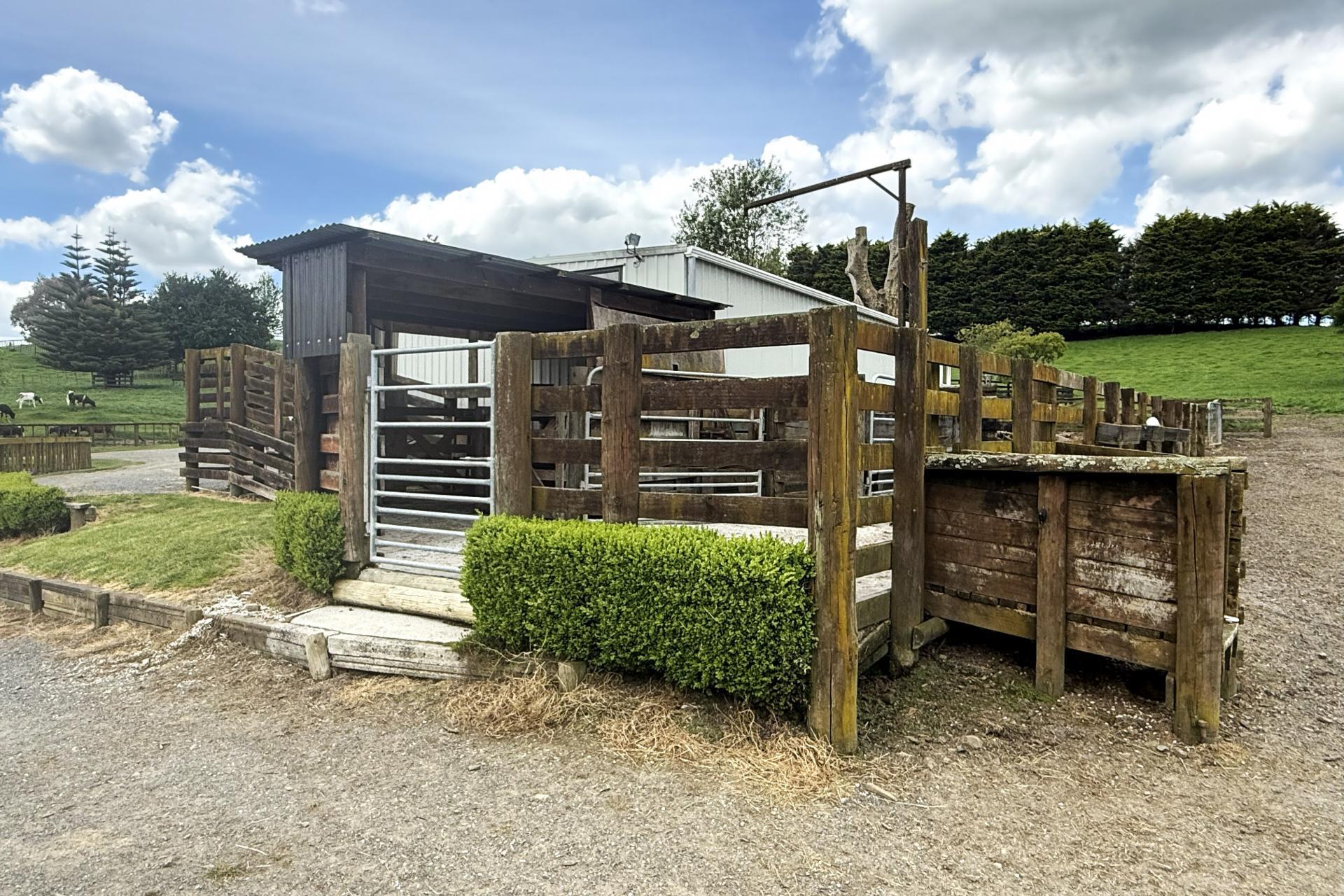 128 Taotaoroa Road, Matamata