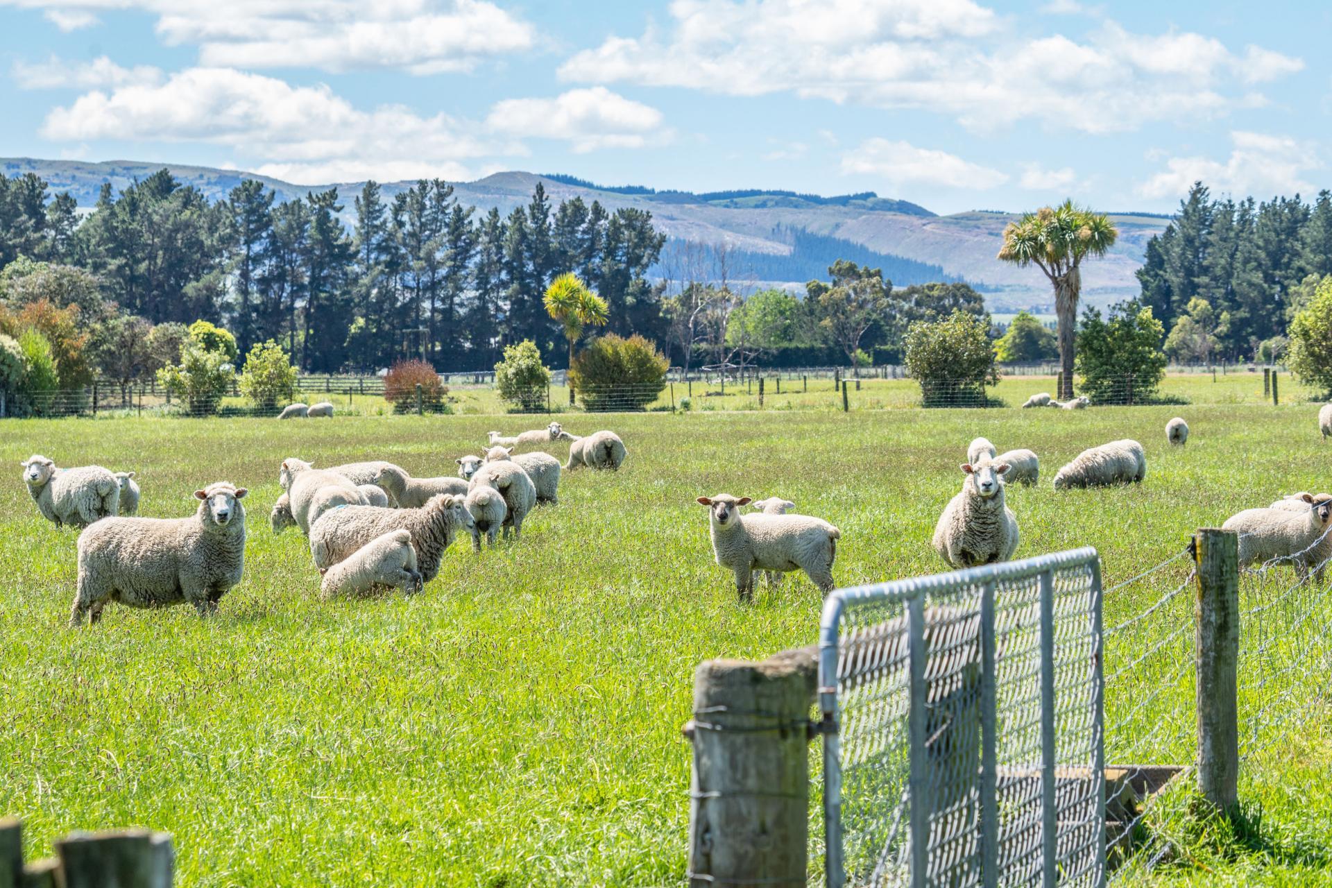 49 Ashworths Road, Amberley