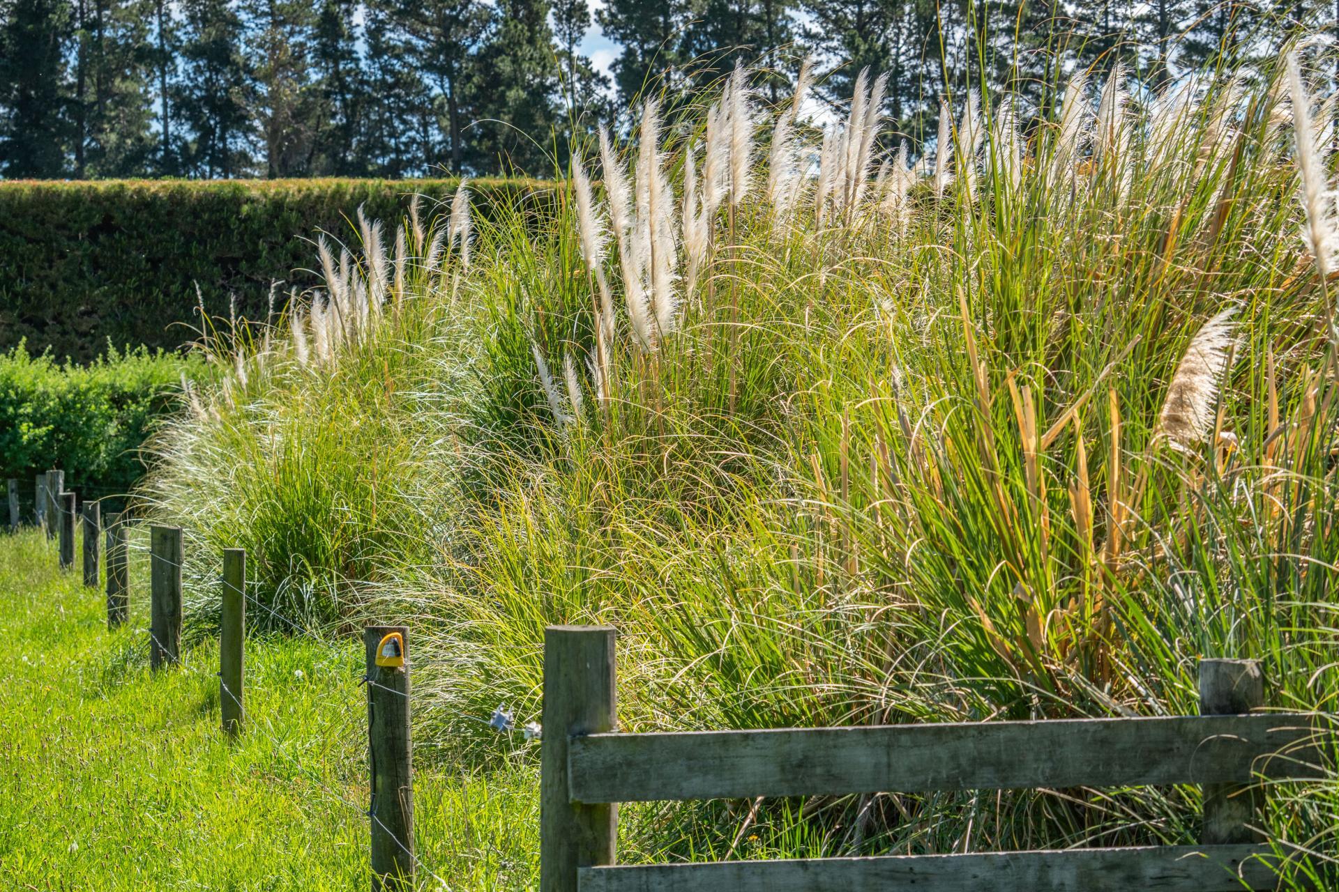 49 Ashworths Road, Amberley