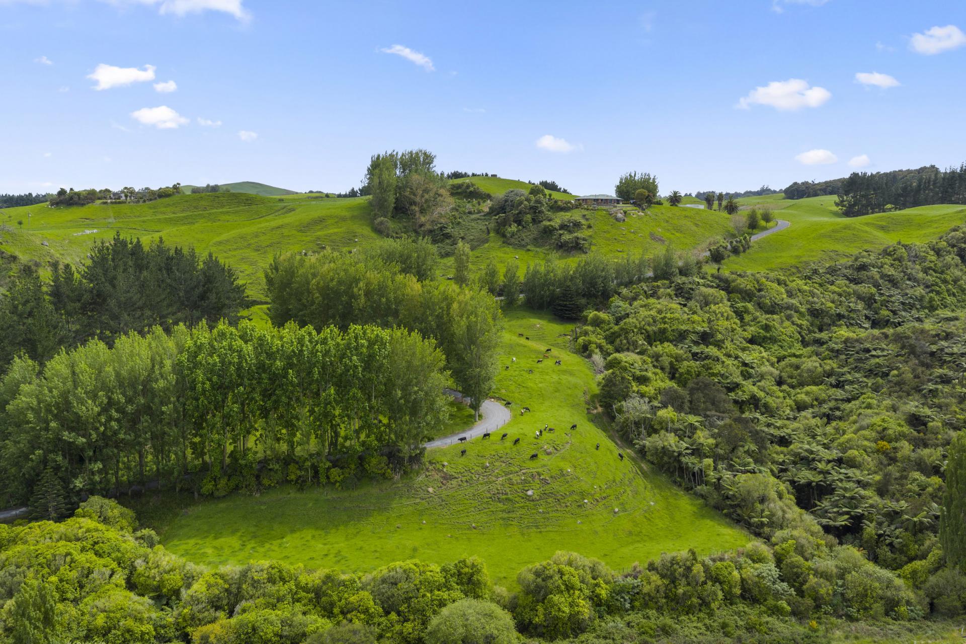 6 Kentucky Road, Karapiro