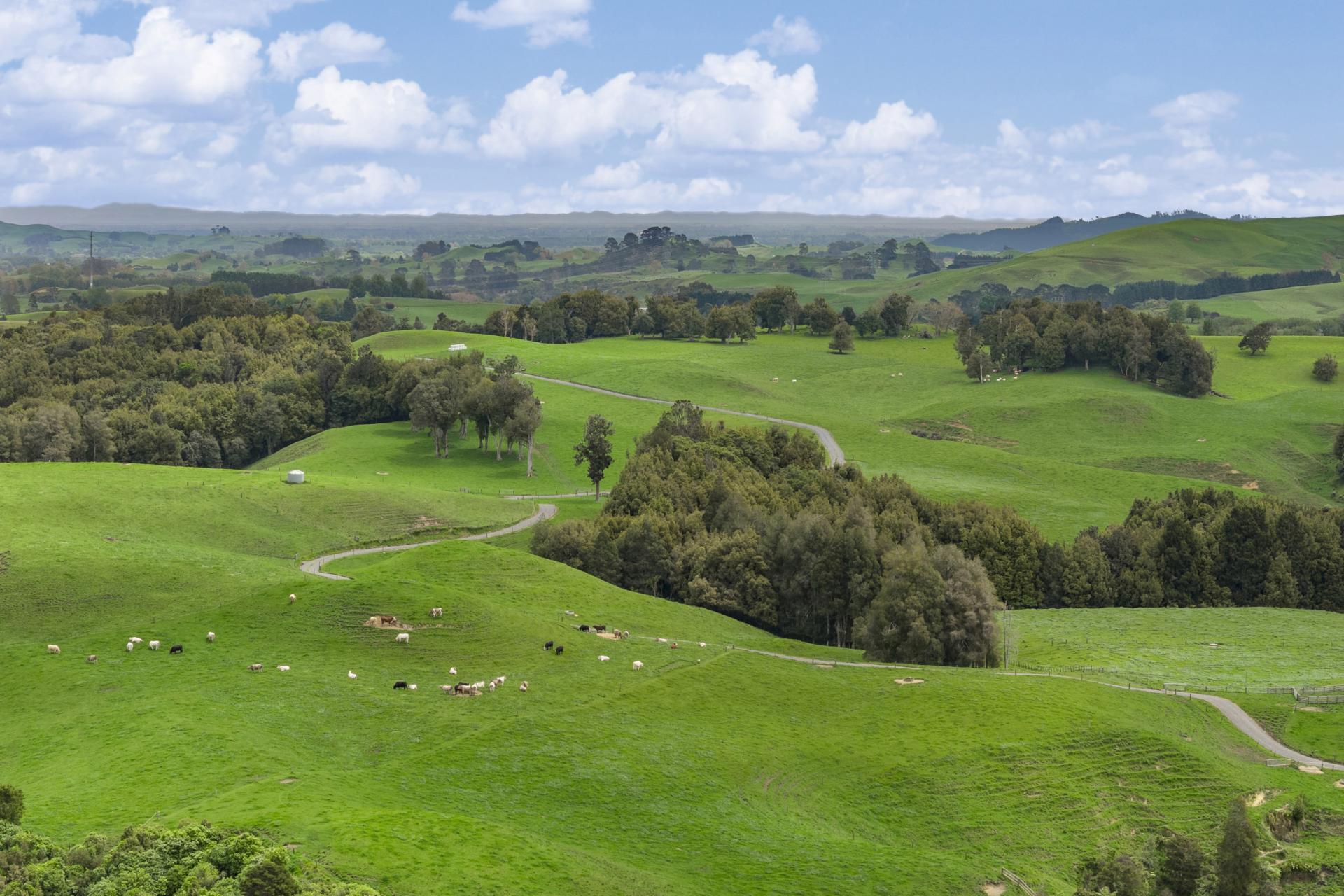 6 Kentucky Road, Karapiro