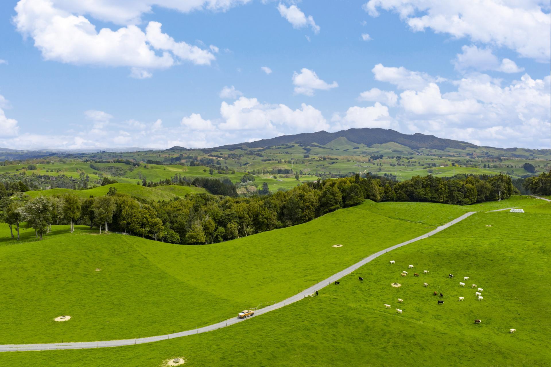 6 Kentucky Road, Karapiro