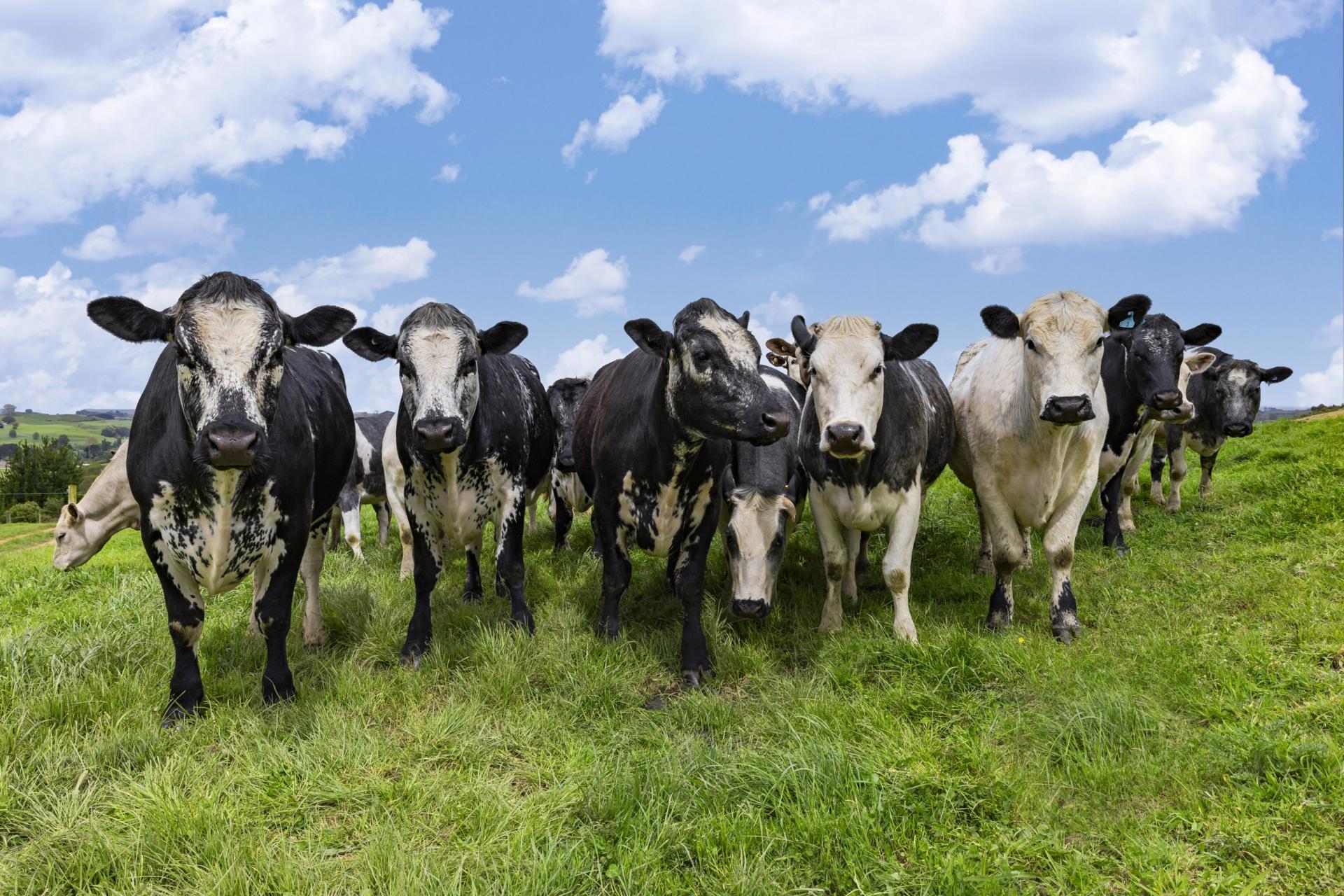 6 Kentucky Road, Karapiro