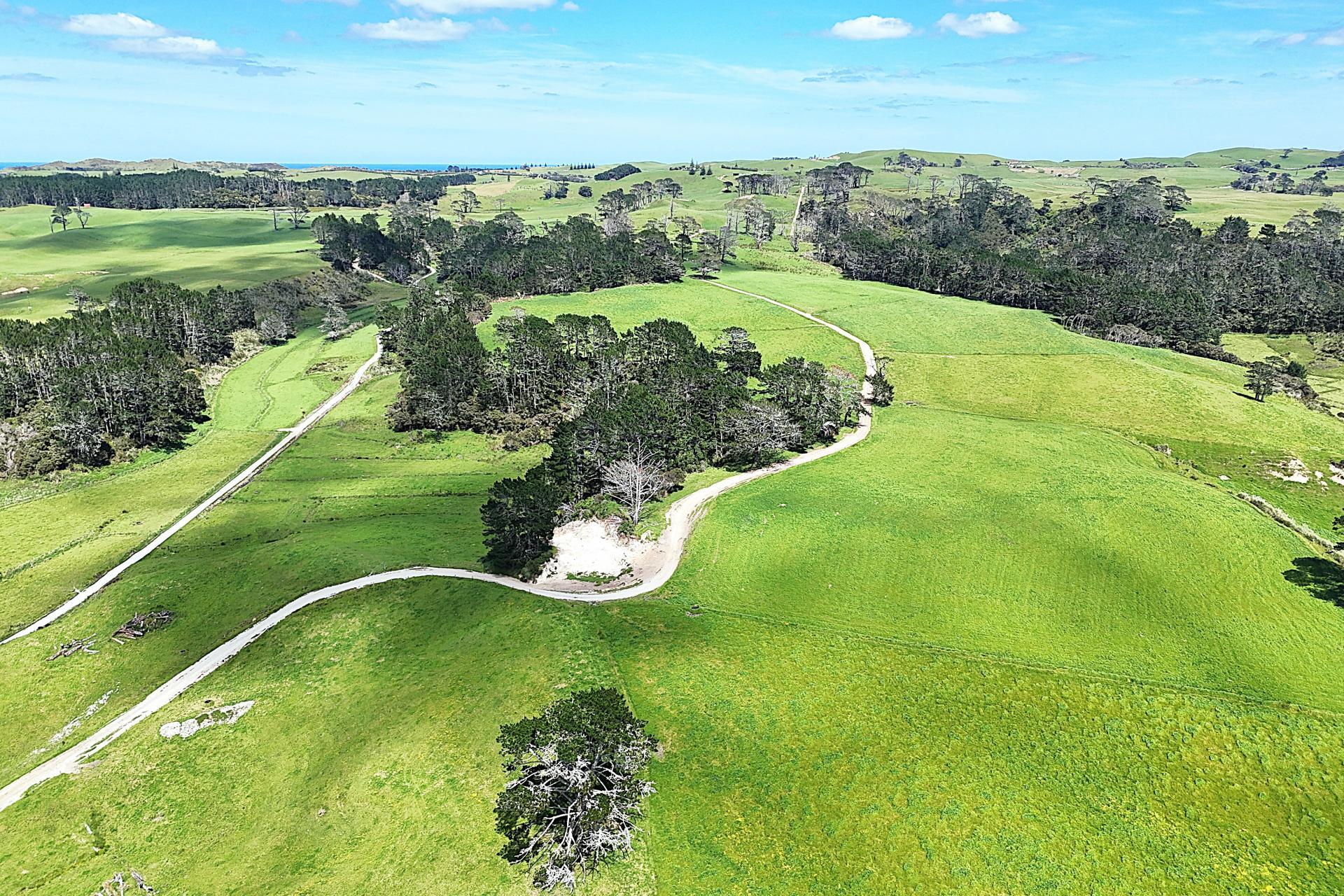 454 West Coast Road, Te Kopuru