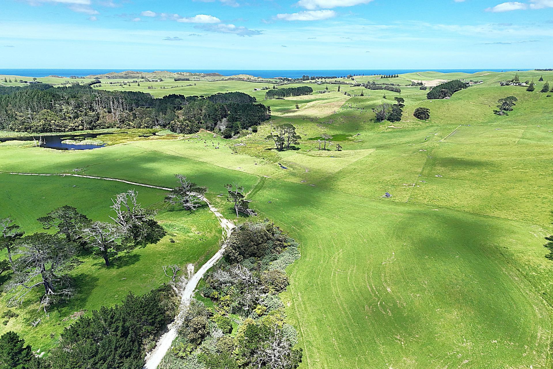 454 West Coast Road, Te Kopuru