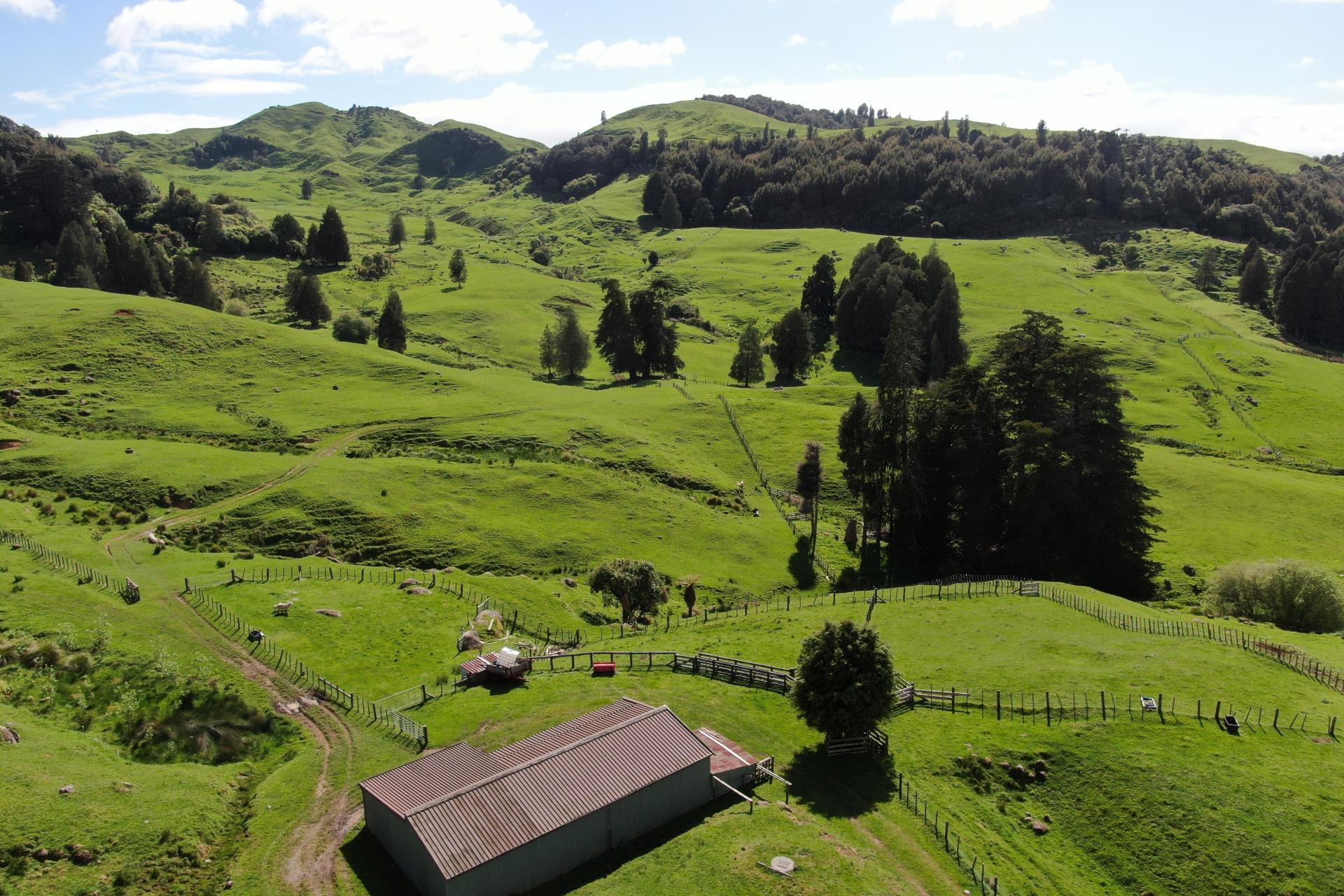 (Rural), 1246 State Highway 3, Piopio