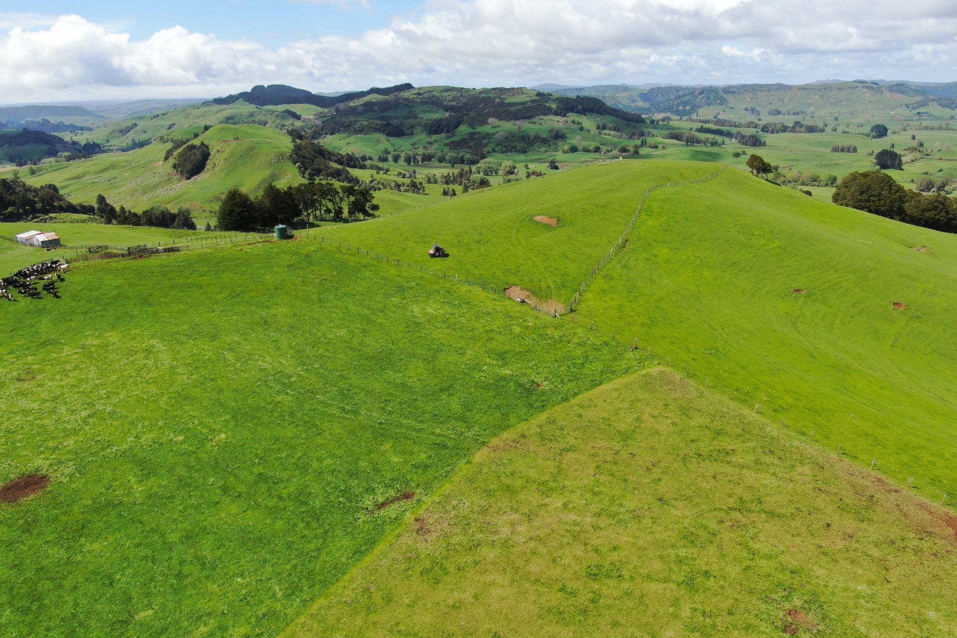 (Rural), 1246 State Highway 3, Piopio