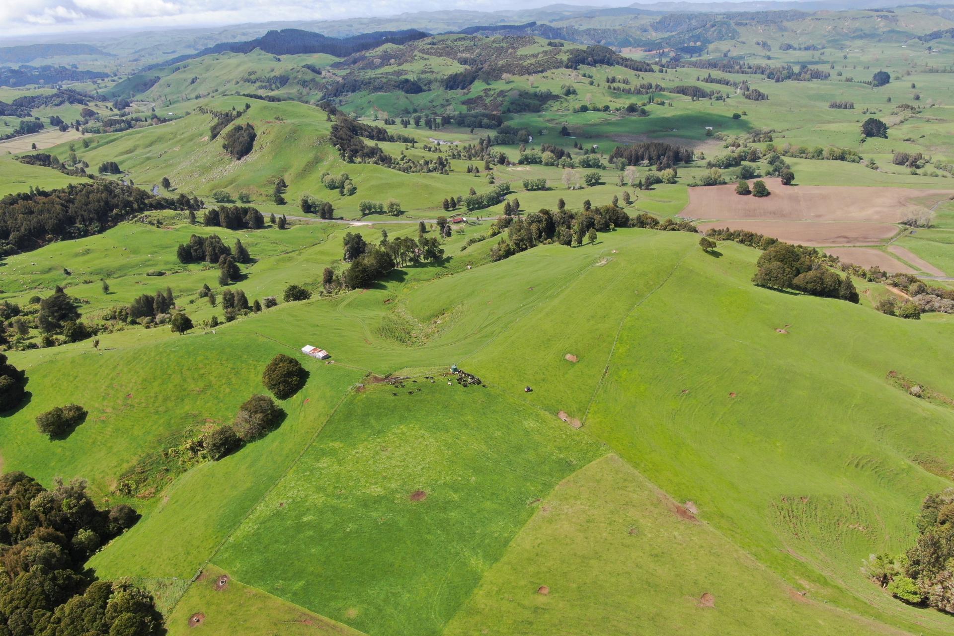 (Rural), 1246 State Highway 3, Piopio