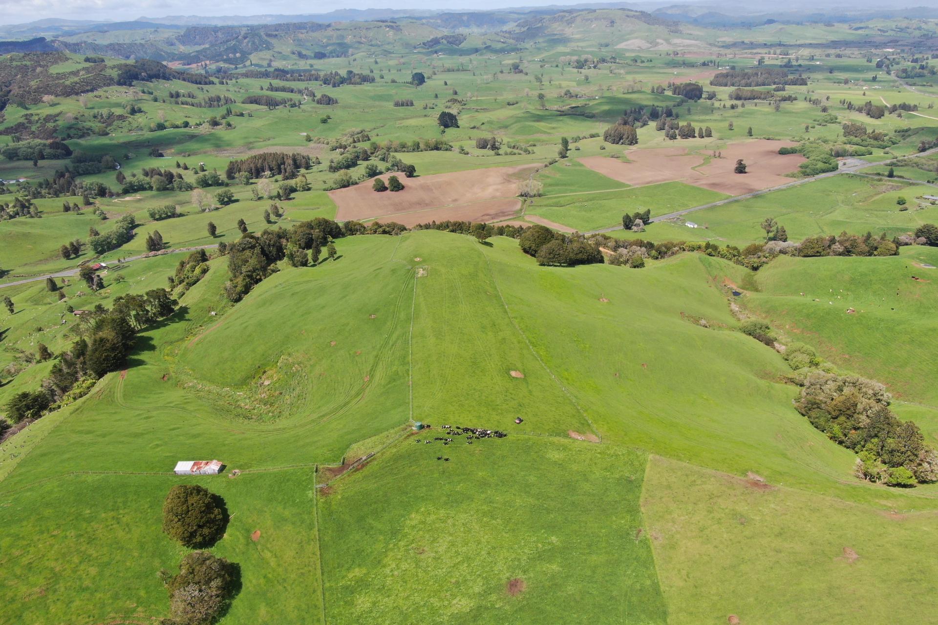 (Rural), 1246 State Highway 3, Piopio