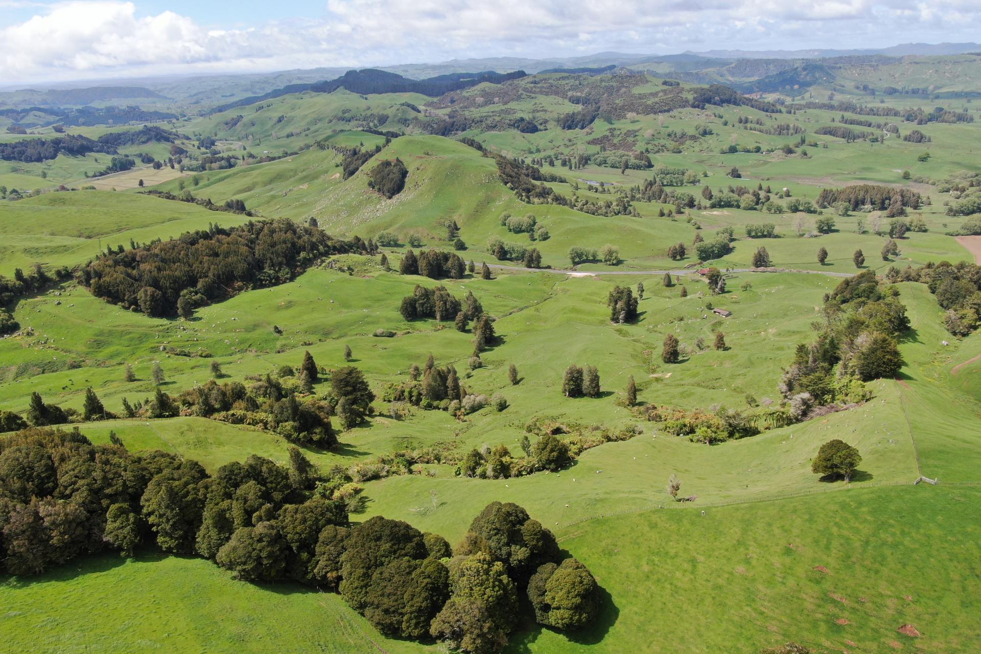 (Rural), 1246 State Highway 3, Piopio