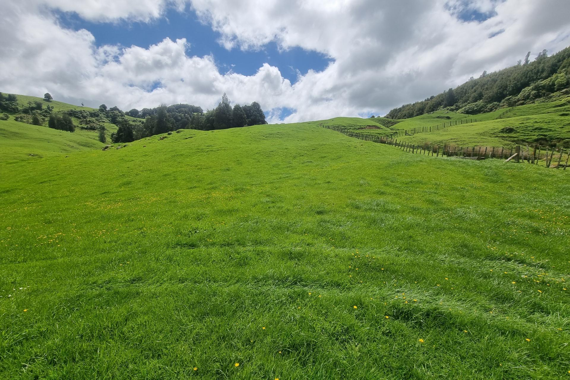 (Rural), 1246 State Highway 3, Piopio