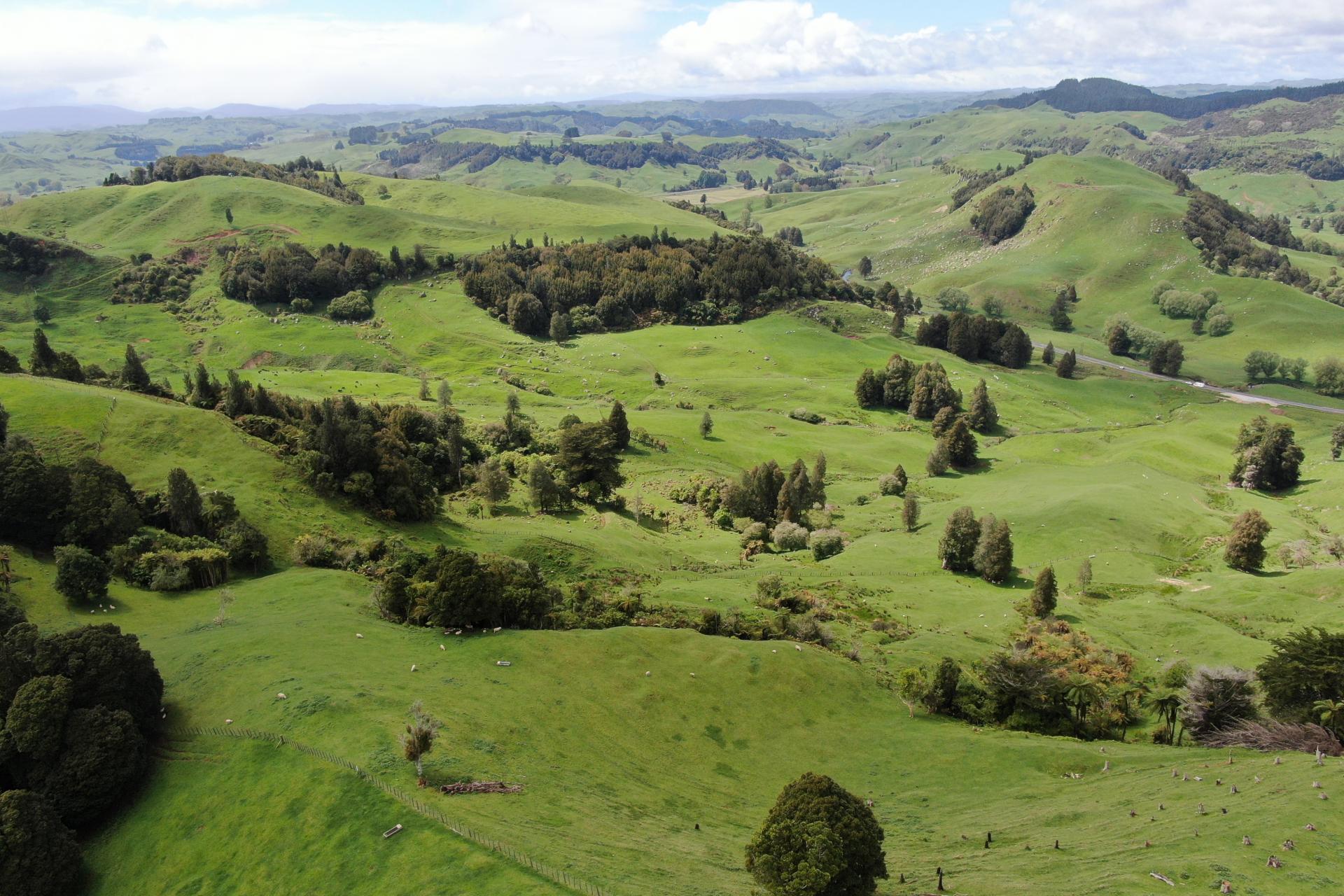 (Rural), 1246 State Highway 3, Piopio