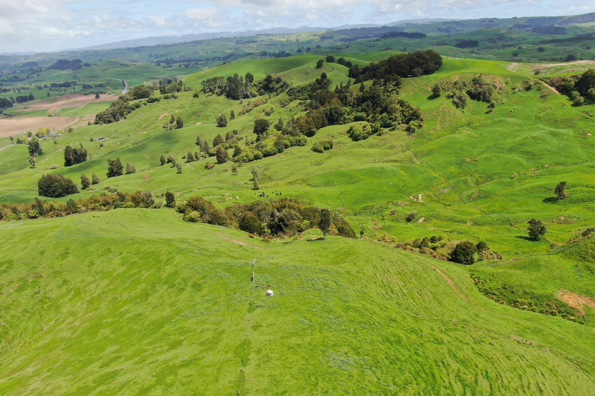 (Rural), 1246 State Highway 3, Piopio