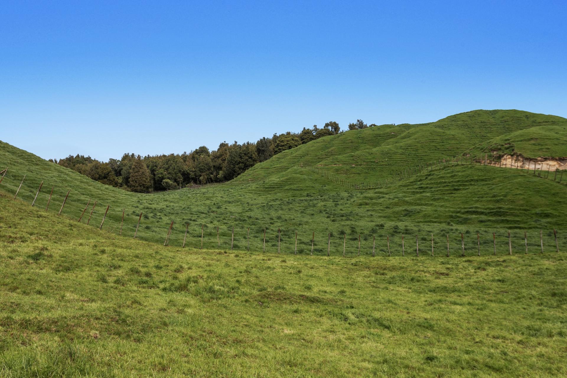 103 Rendall Road, Rotoma