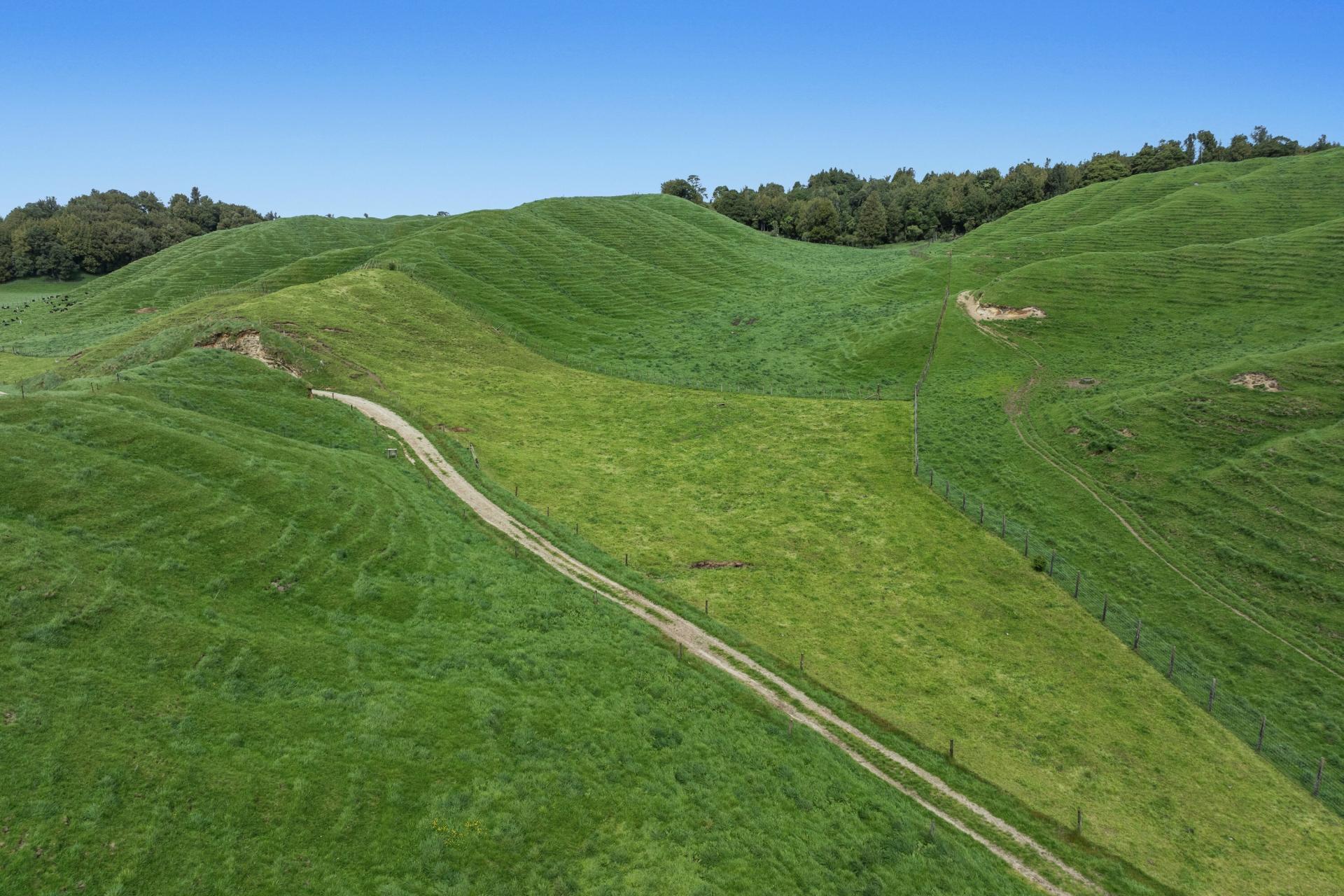 103 Rendall Road, Rotoma