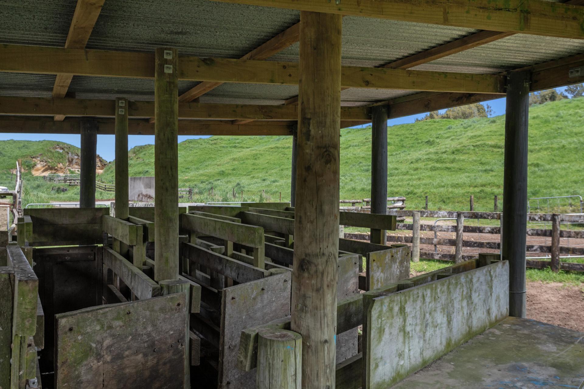 103 Rendall Road, Rotoma