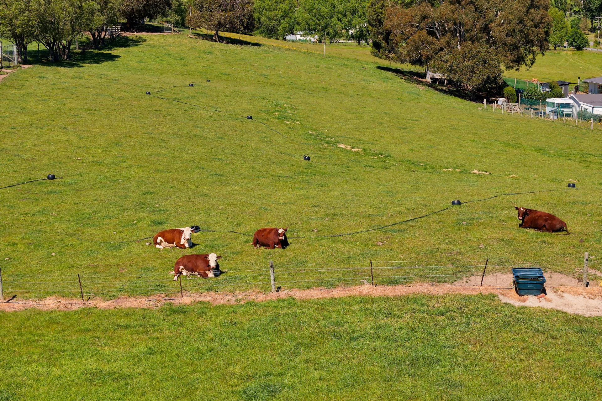1519 Marama Road, Seddon