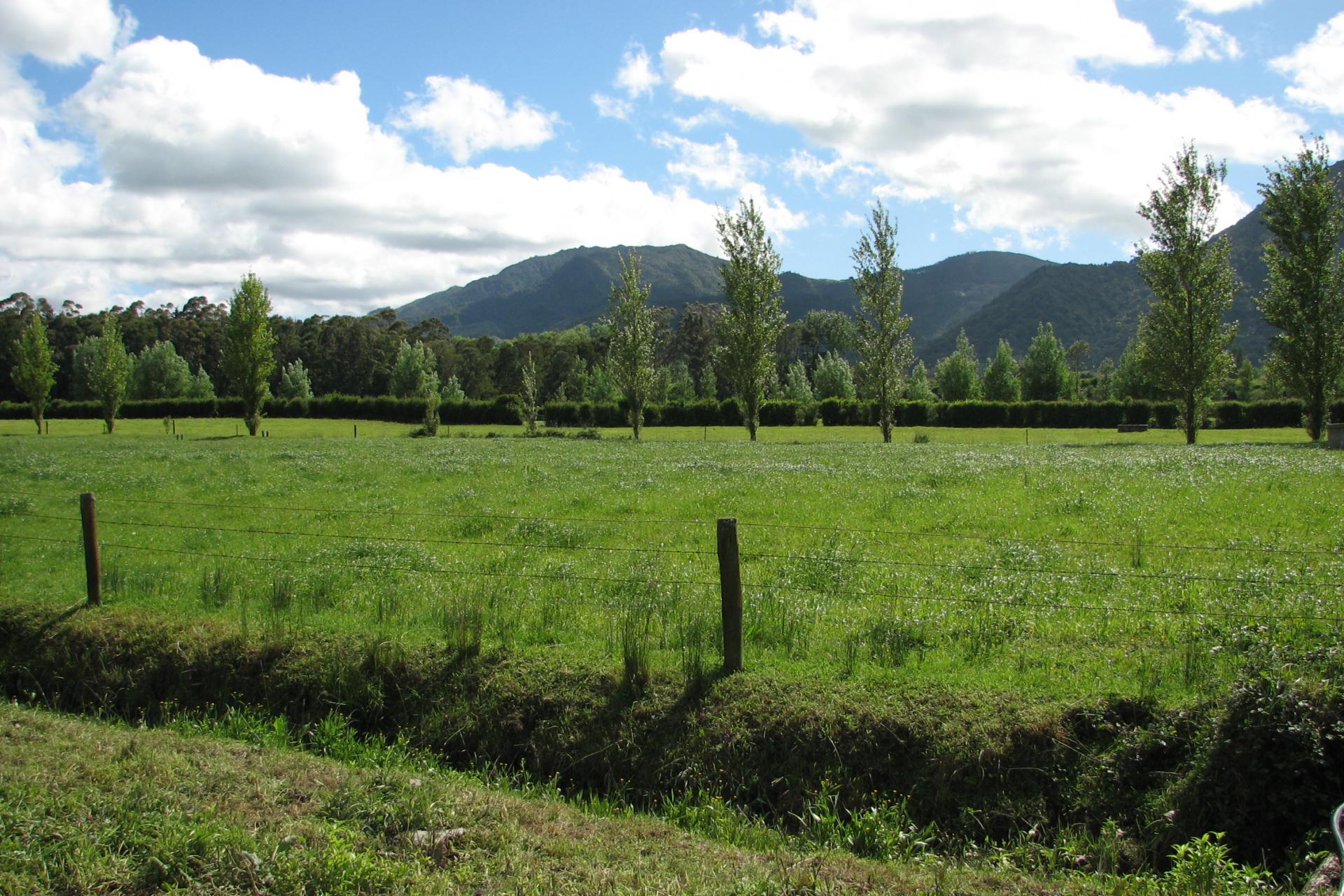 1682B Te Aroha-Gordon Road, Matamata