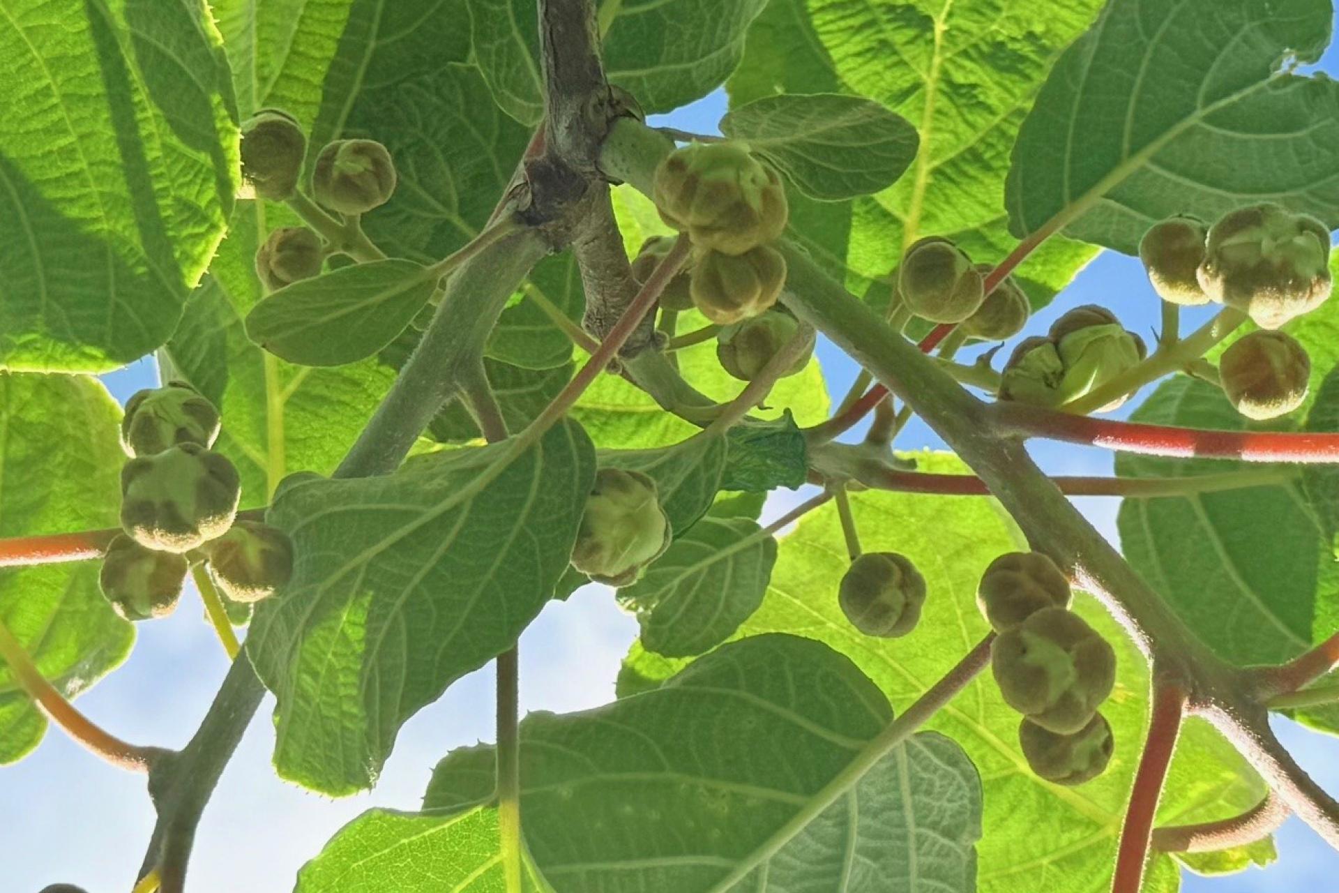 305 No 3 Road, Te Puke