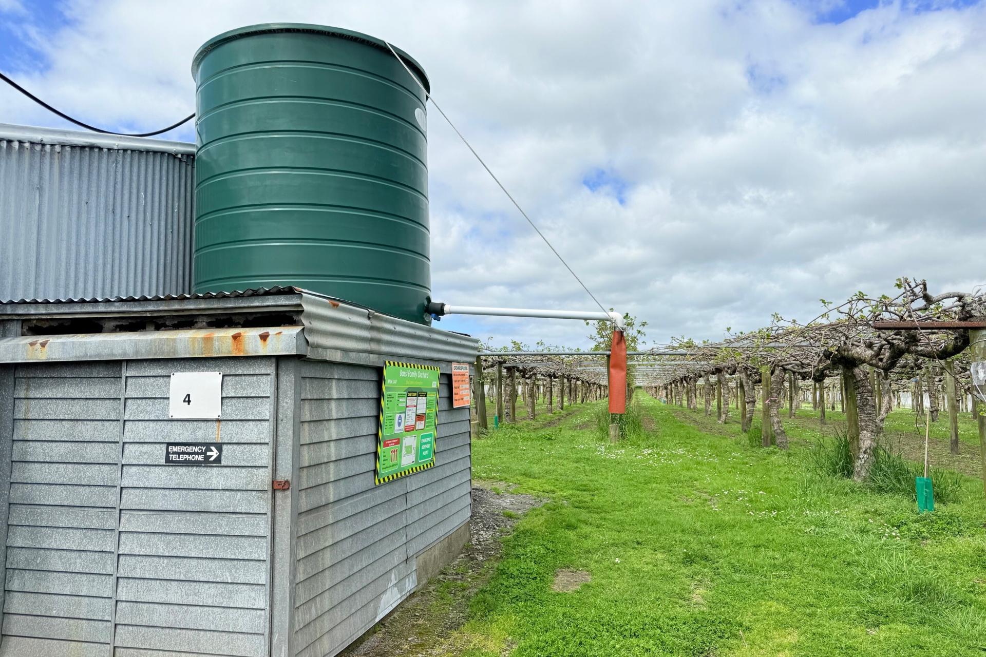 305 No 3 Road, Te Puke