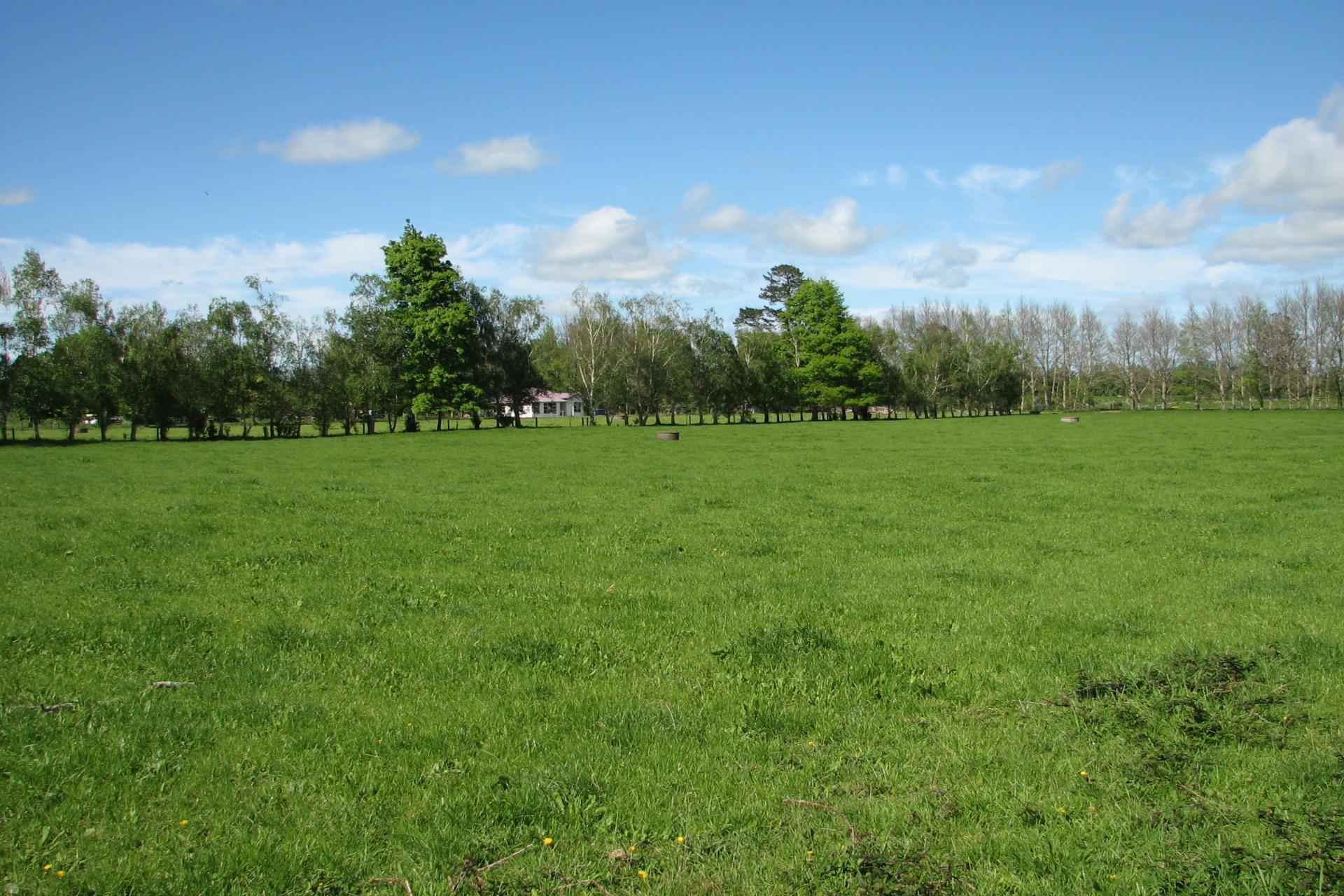 1704 Te Aroha-Gordon Road, Matamata