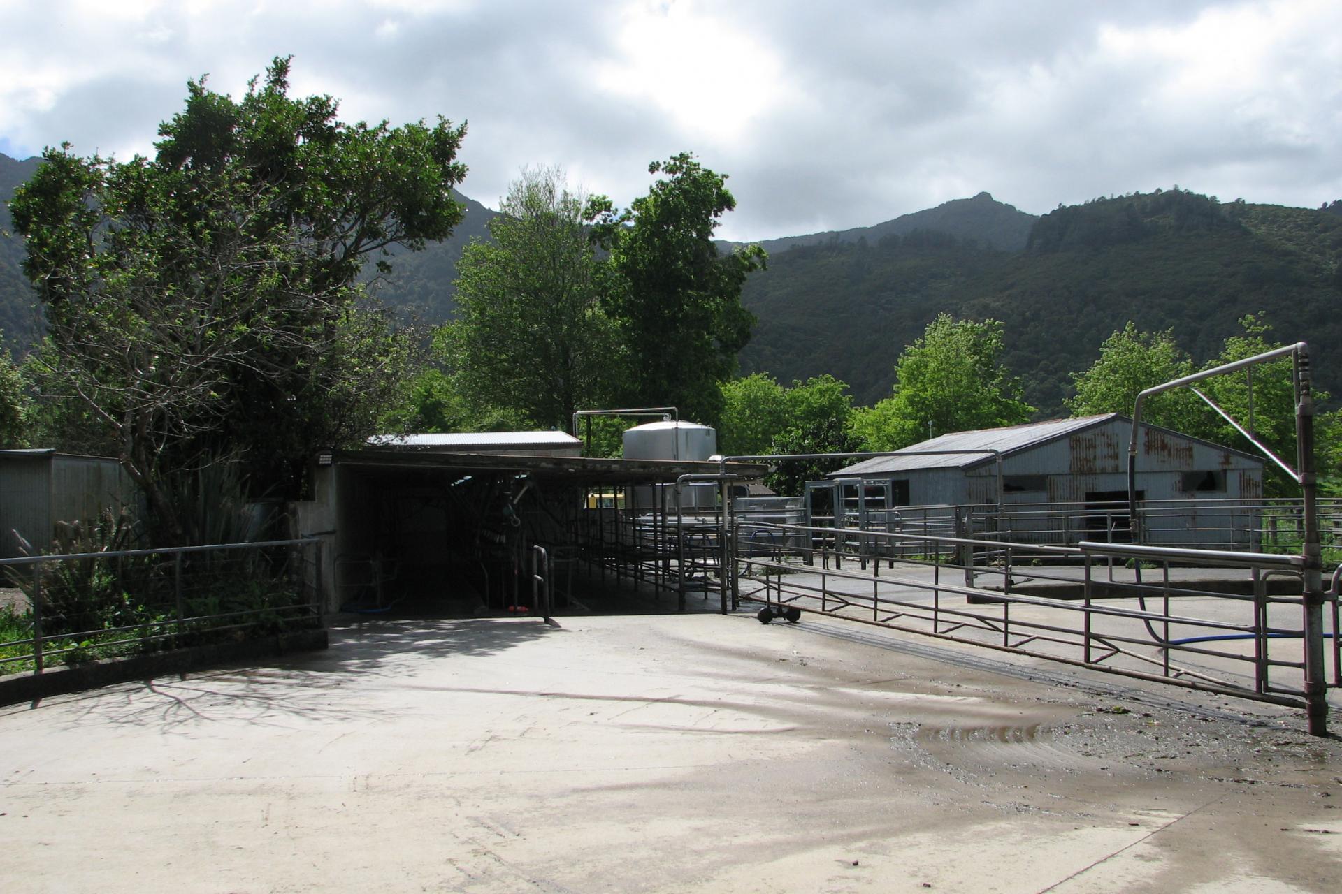 1704 Te Aroha-Gordon Road, Matamata