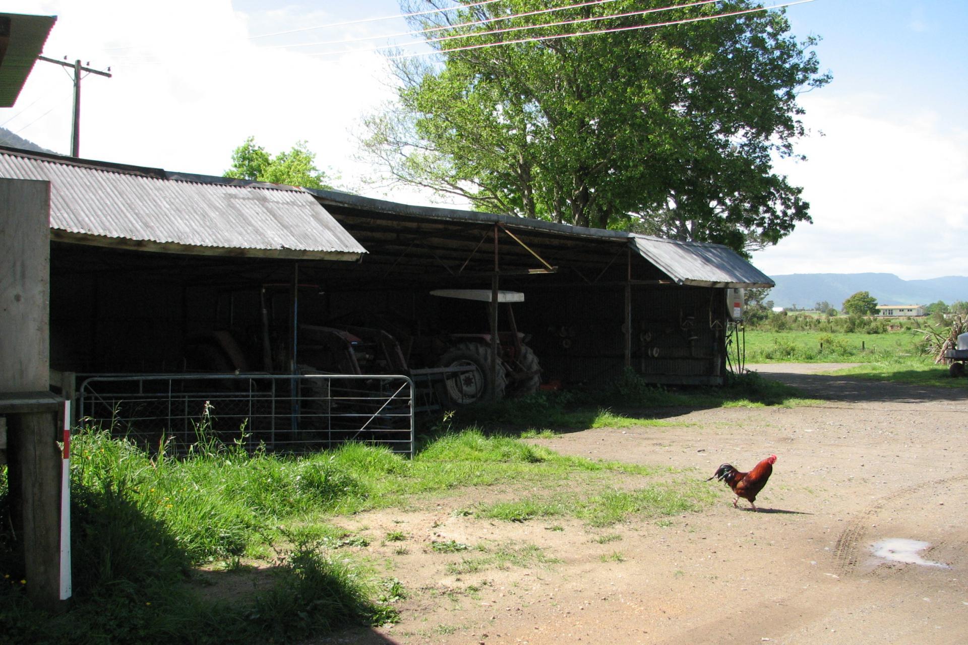1704 Te Aroha-Gordon Road, Matamata
