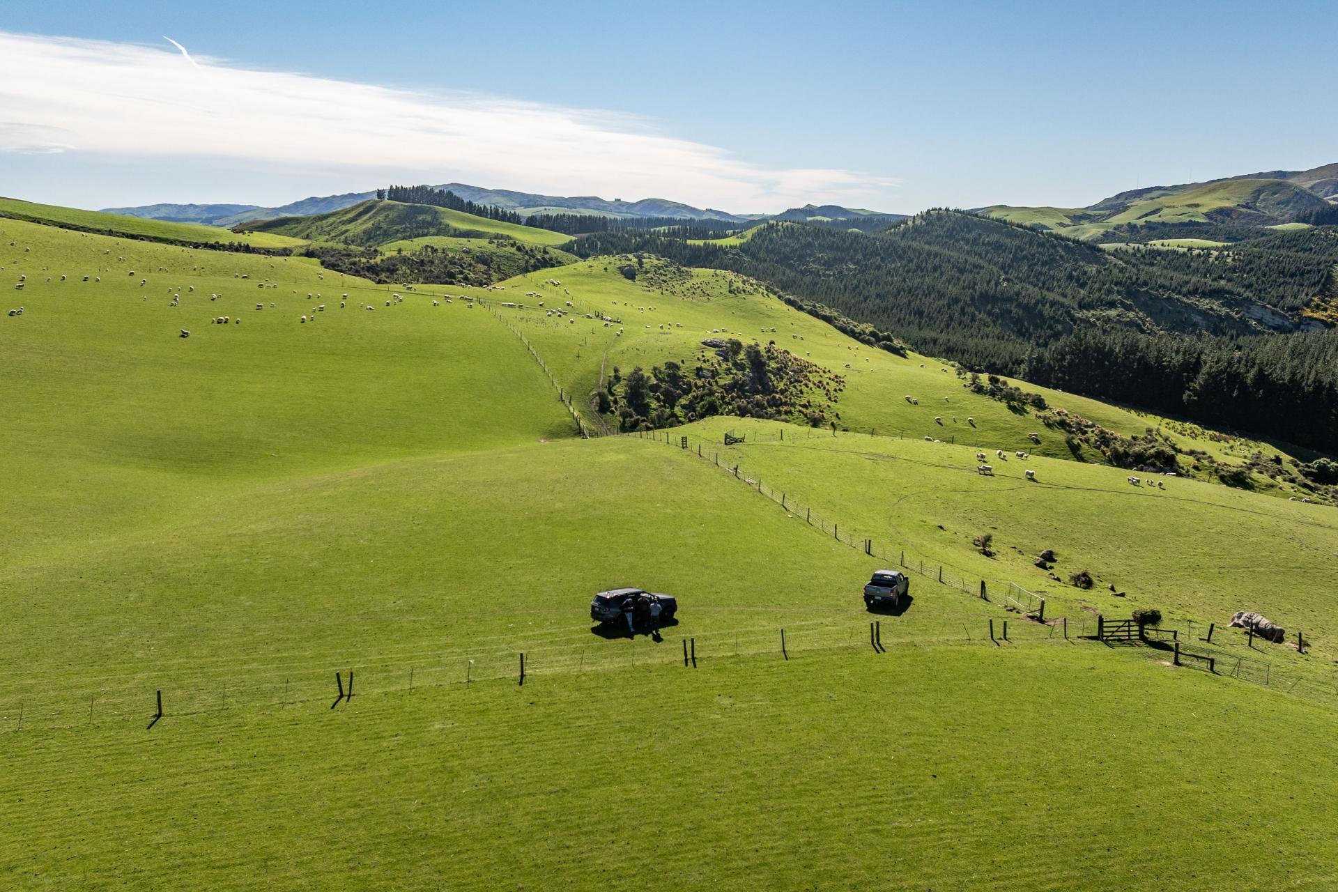 614 Omihi Road, Omihi