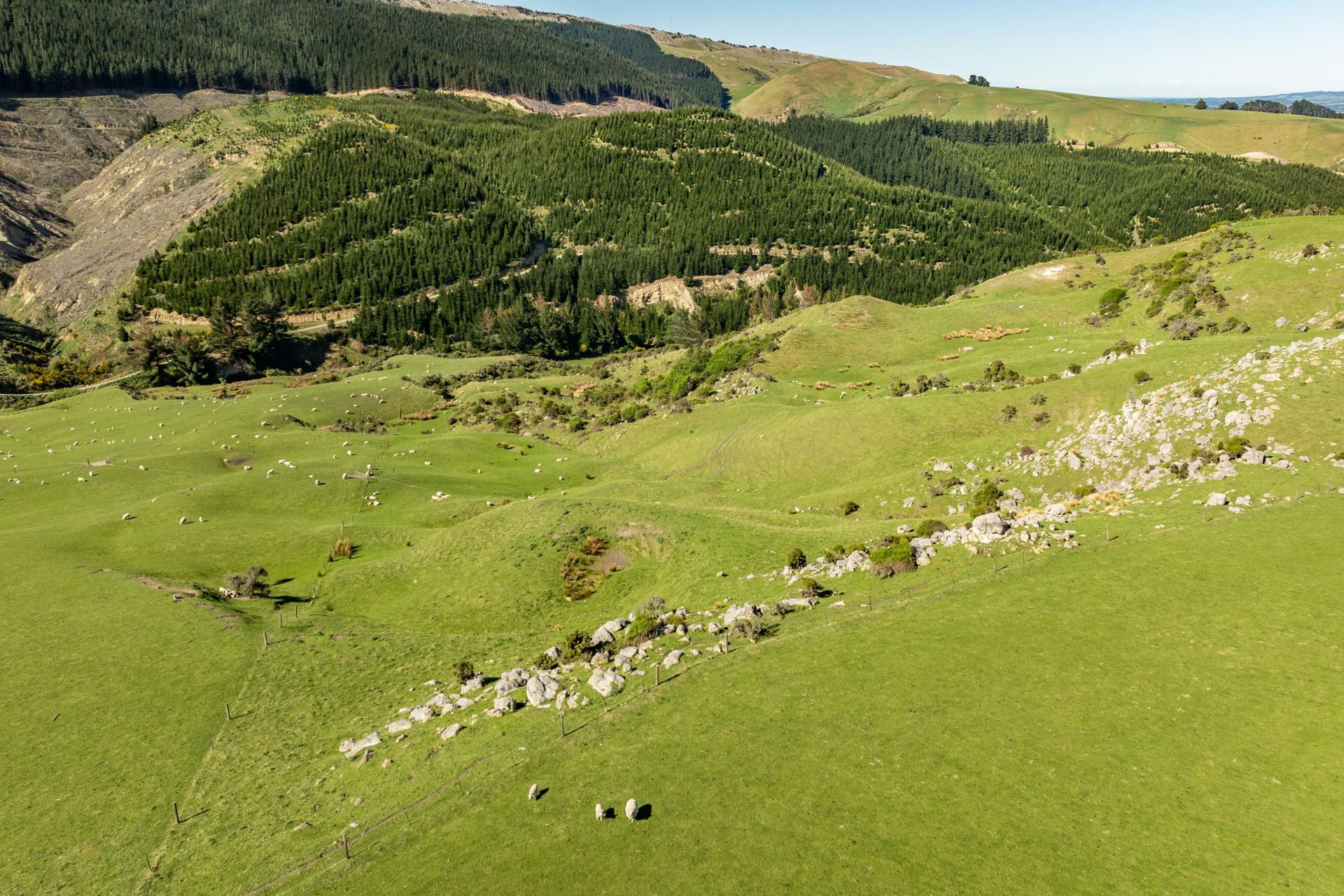 614 Omihi Road, Omihi