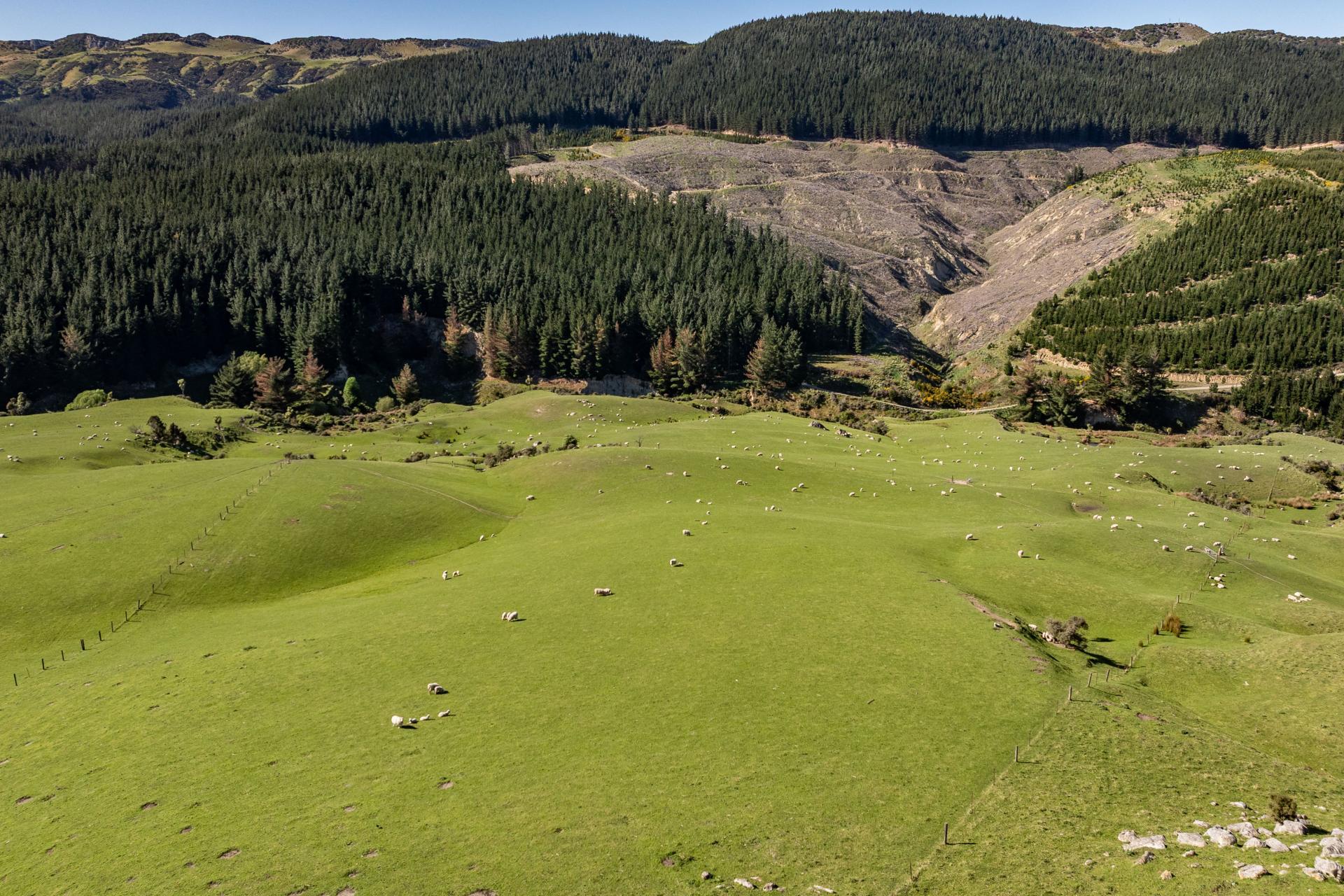 614 Omihi Road, Omihi