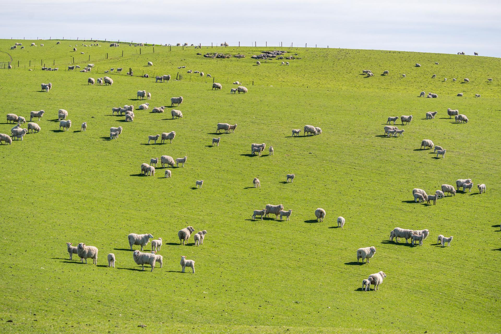 614 Omihi Road, Omihi