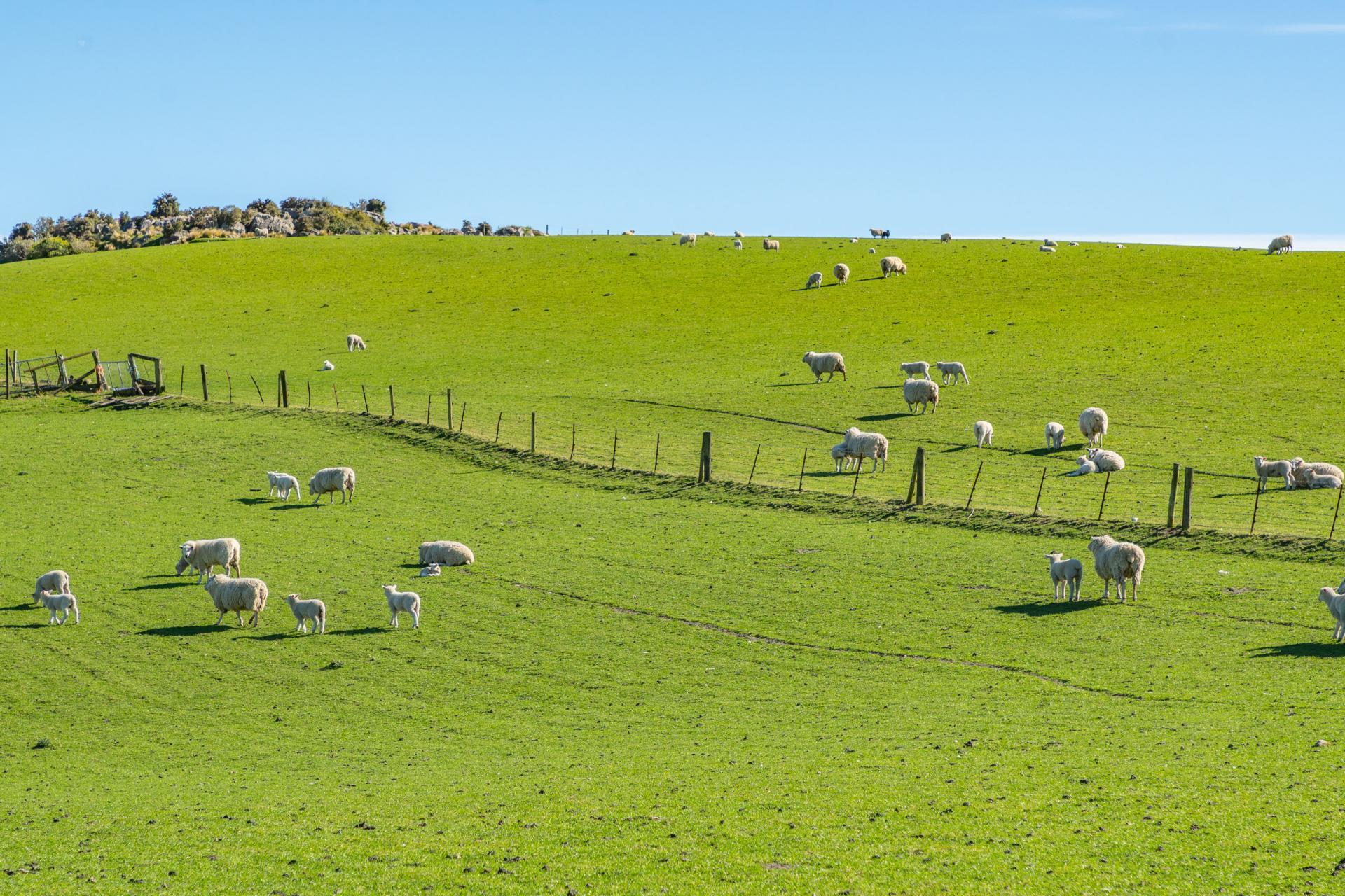 614 Omihi Road, Omihi